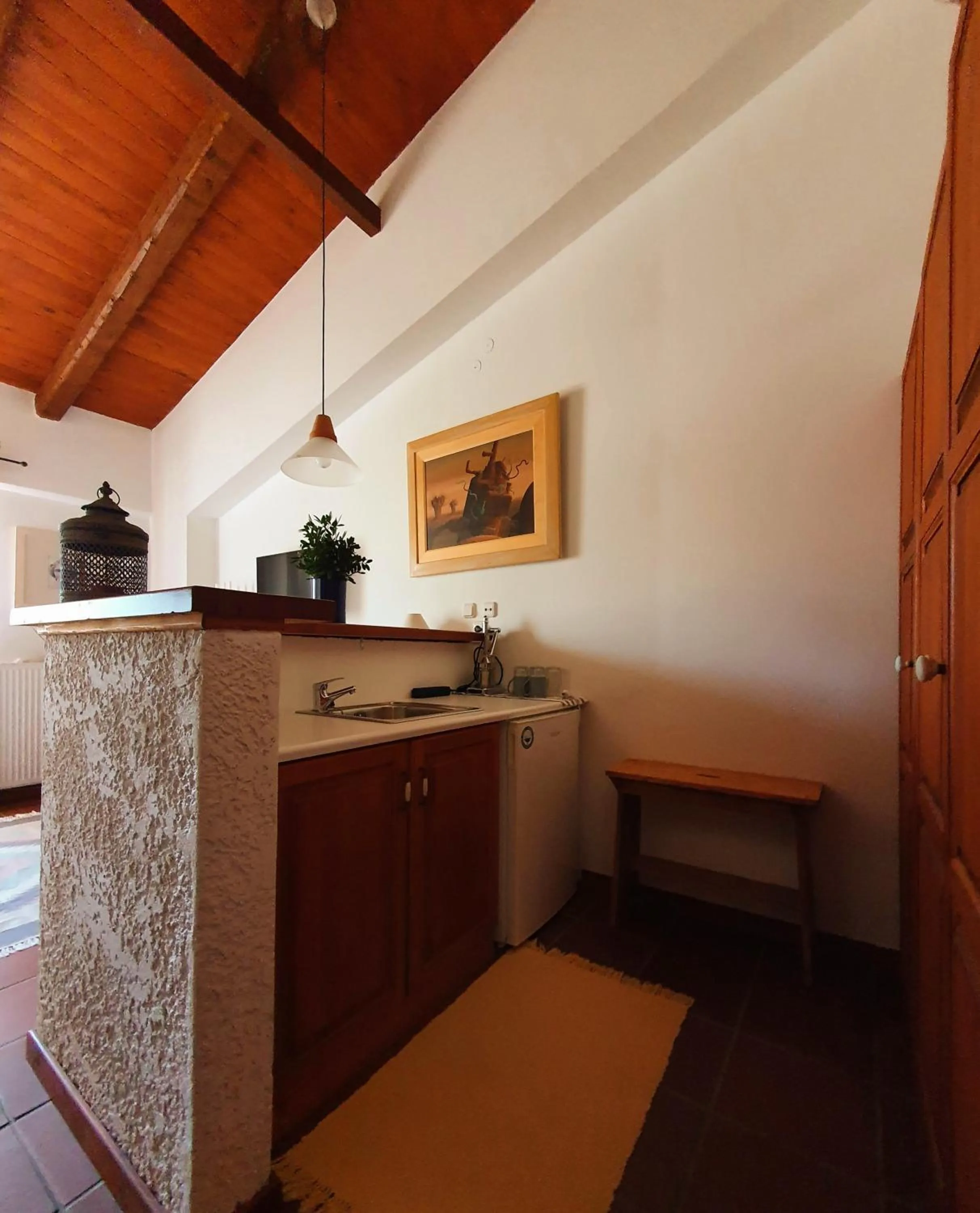 Kitchen or kitchenette in Helicon Muses Friendly Mountain B&B Guesthouse