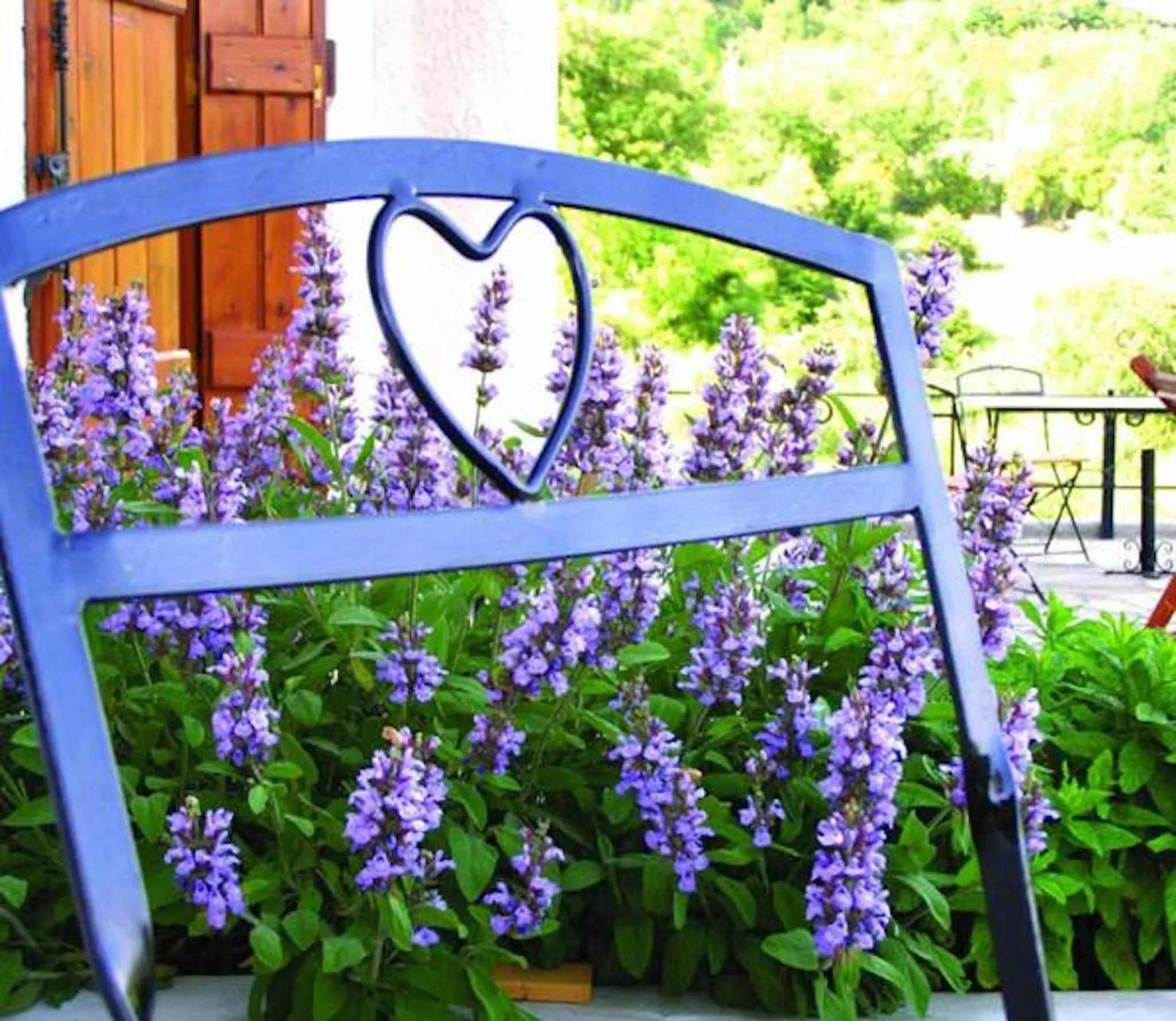 Patio in Helicon Muses Friendly Mountain B&B Guesthouse