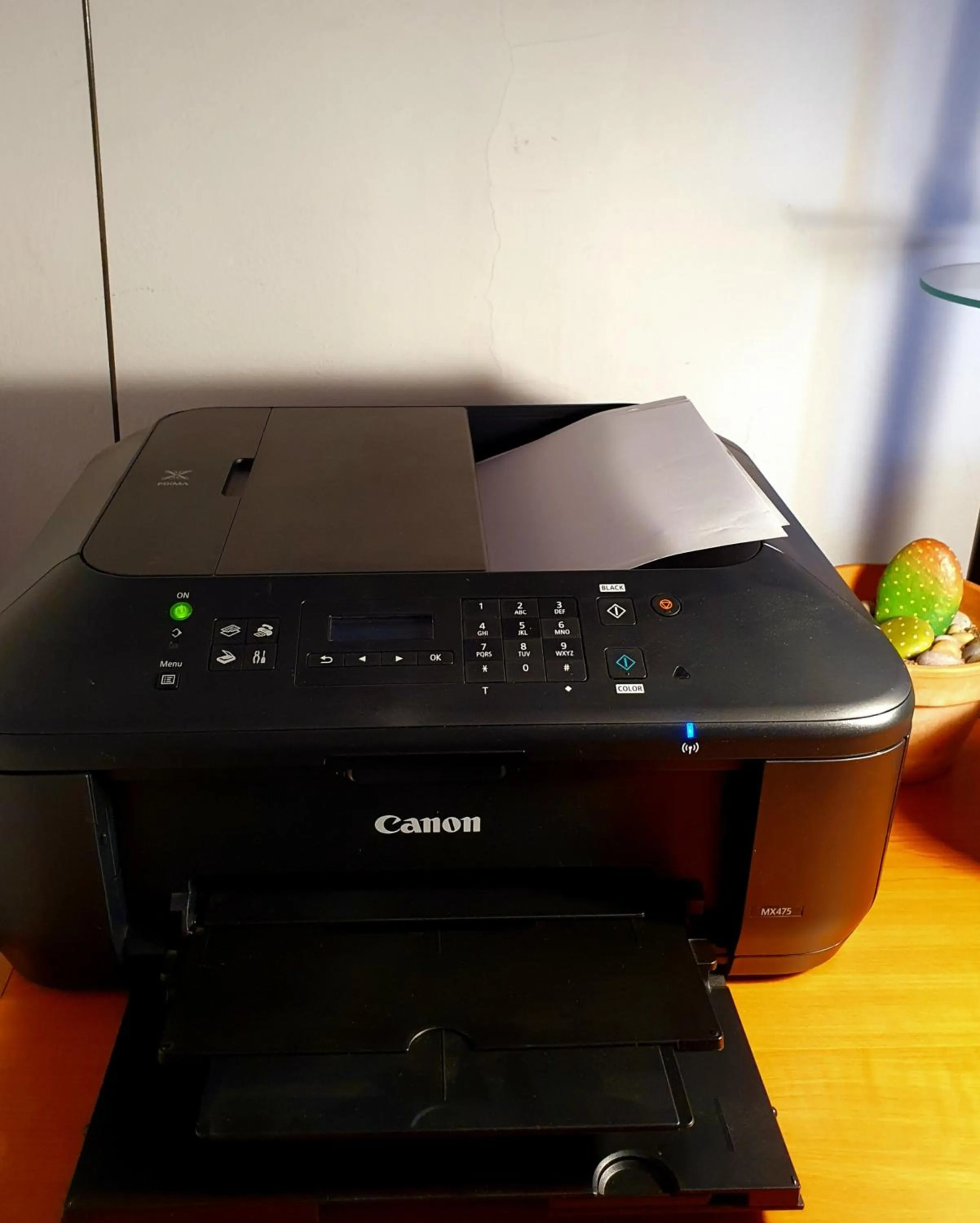 Helicon Muses Friendly Mountain B&B Guesthouse