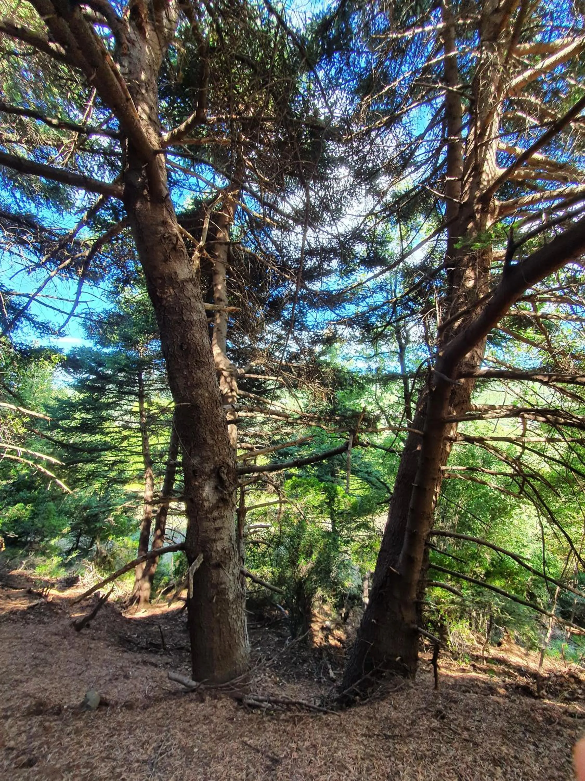 Nearby landmark in Helicon Muses Friendly Mountain B&B Guesthouse