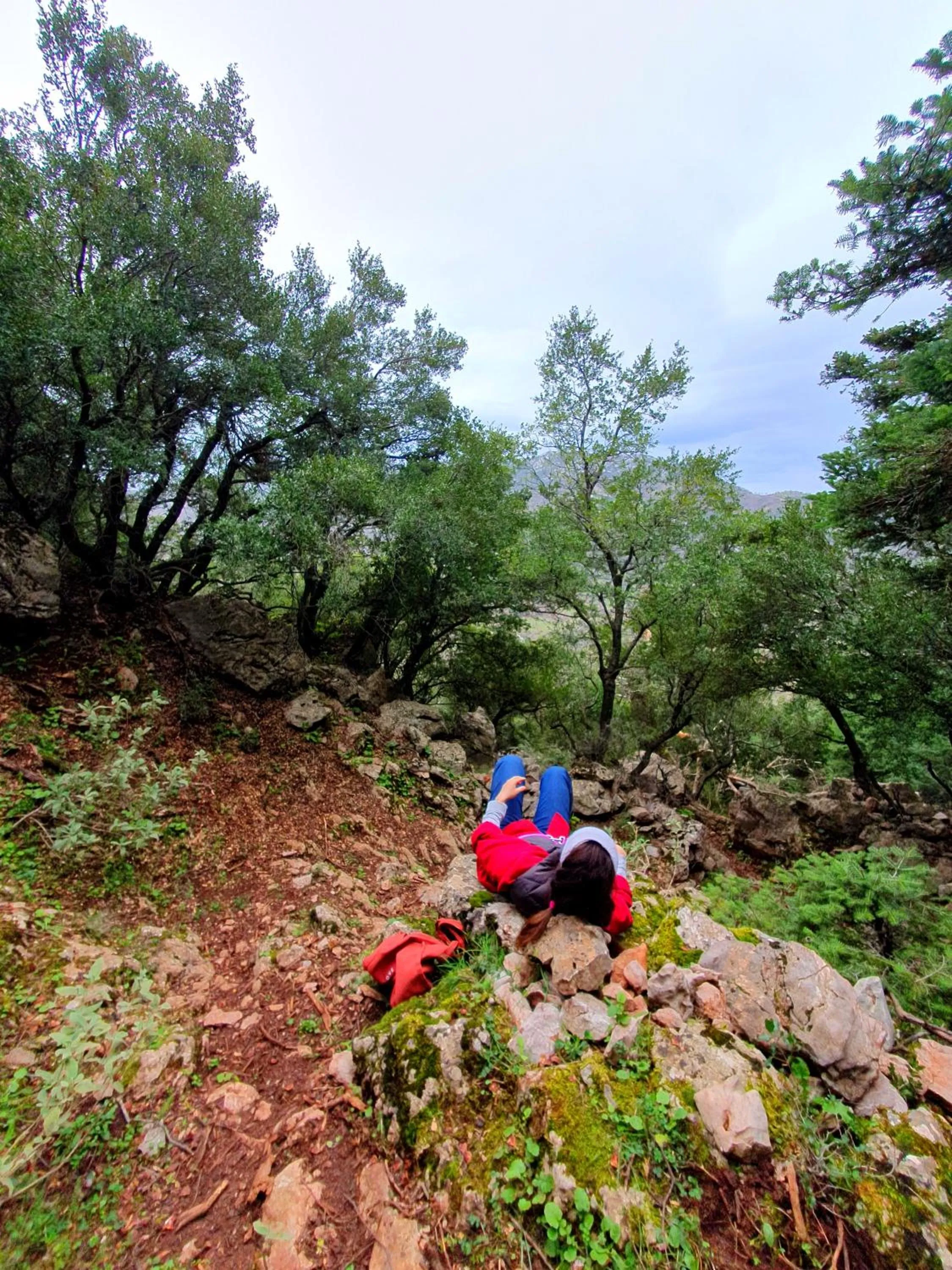 Day in Helicon Muses Friendly Mountain B&B Guesthouse