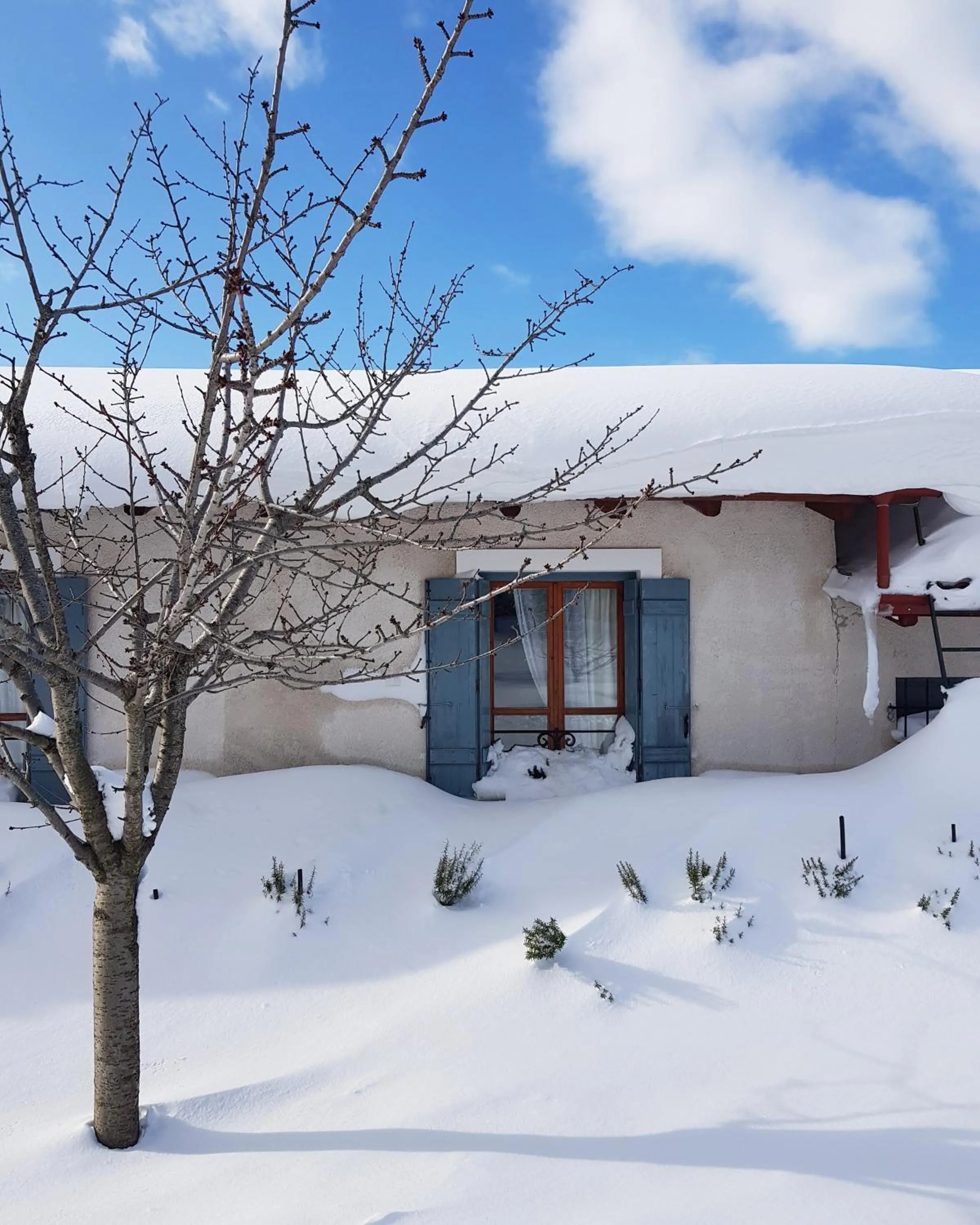 Facade/entrance in Helicon Muses Friendly Mountain B&B Guesthouse