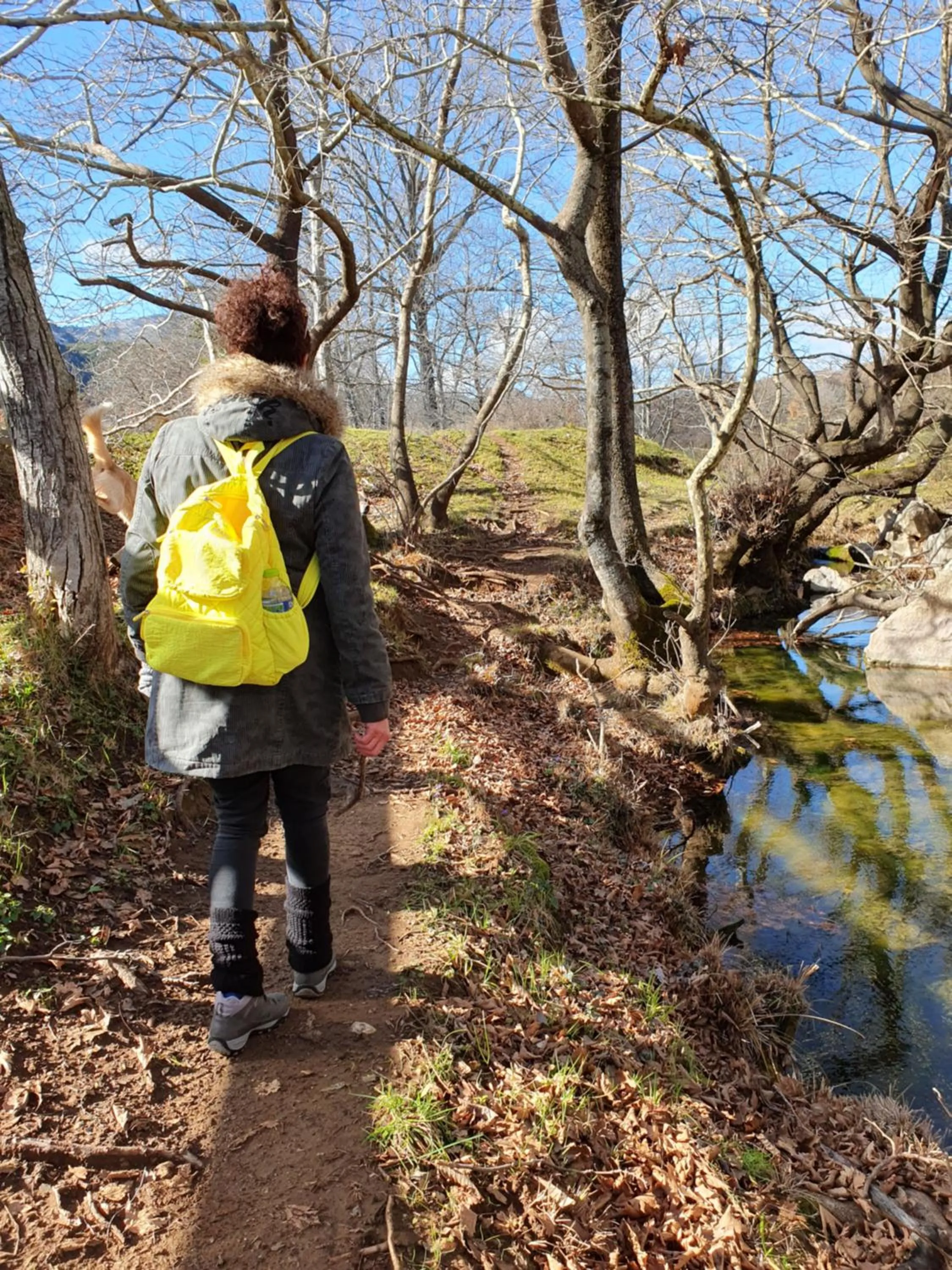 Day in Helicon Muses Friendly Mountain B&B Guesthouse