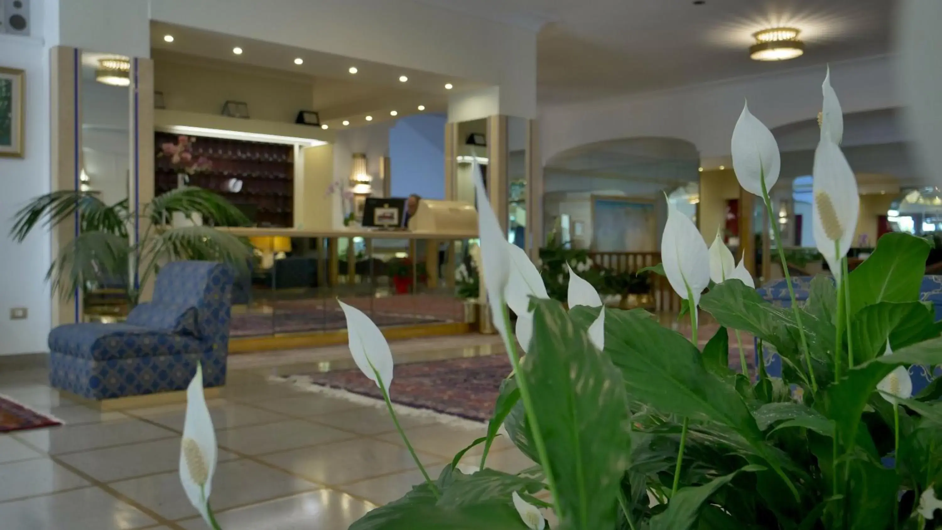 Lobby or reception in 501 Hotel Lobby or reception in 501 Hotel
