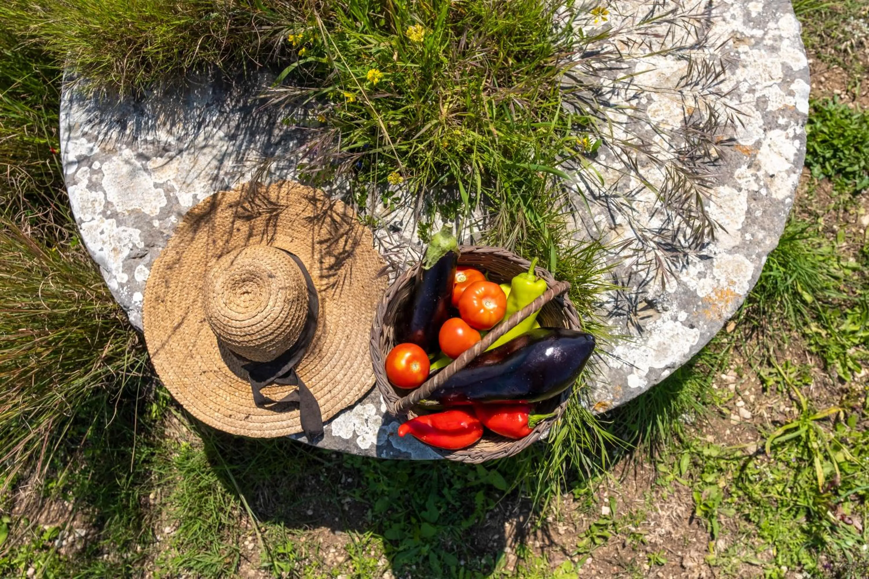 Garden in Chamaloni Cottages