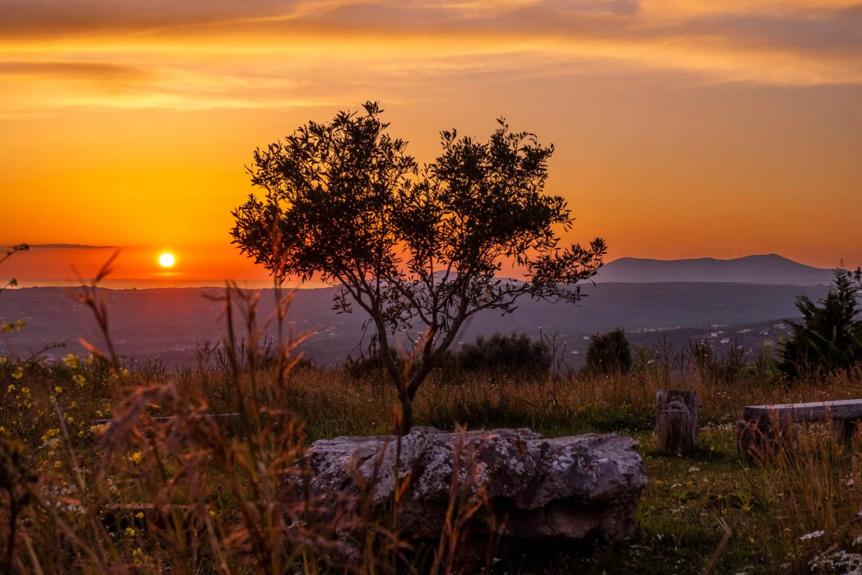 Location in Chamaloni Cottages