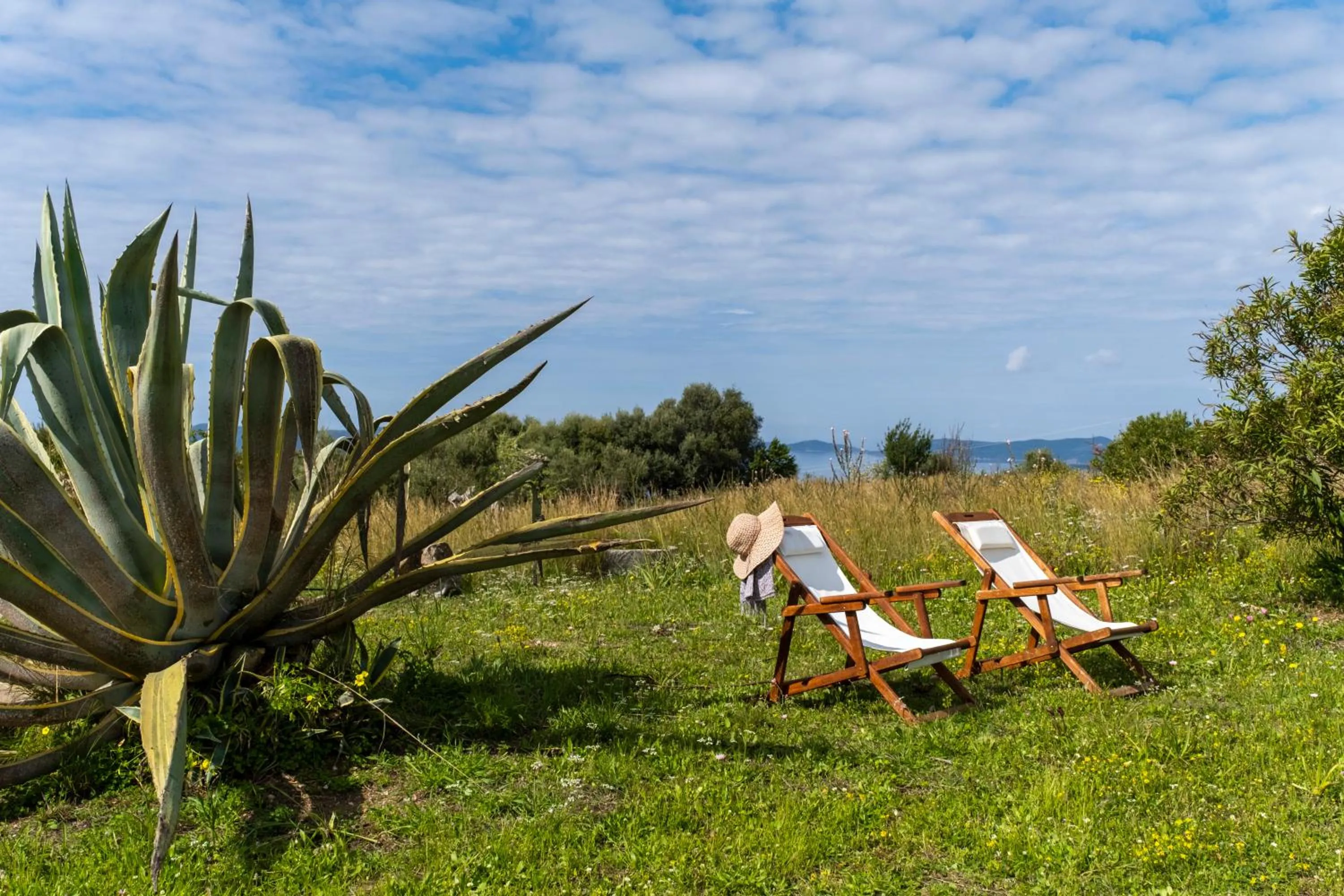 Garden in Chamaloni Cottages