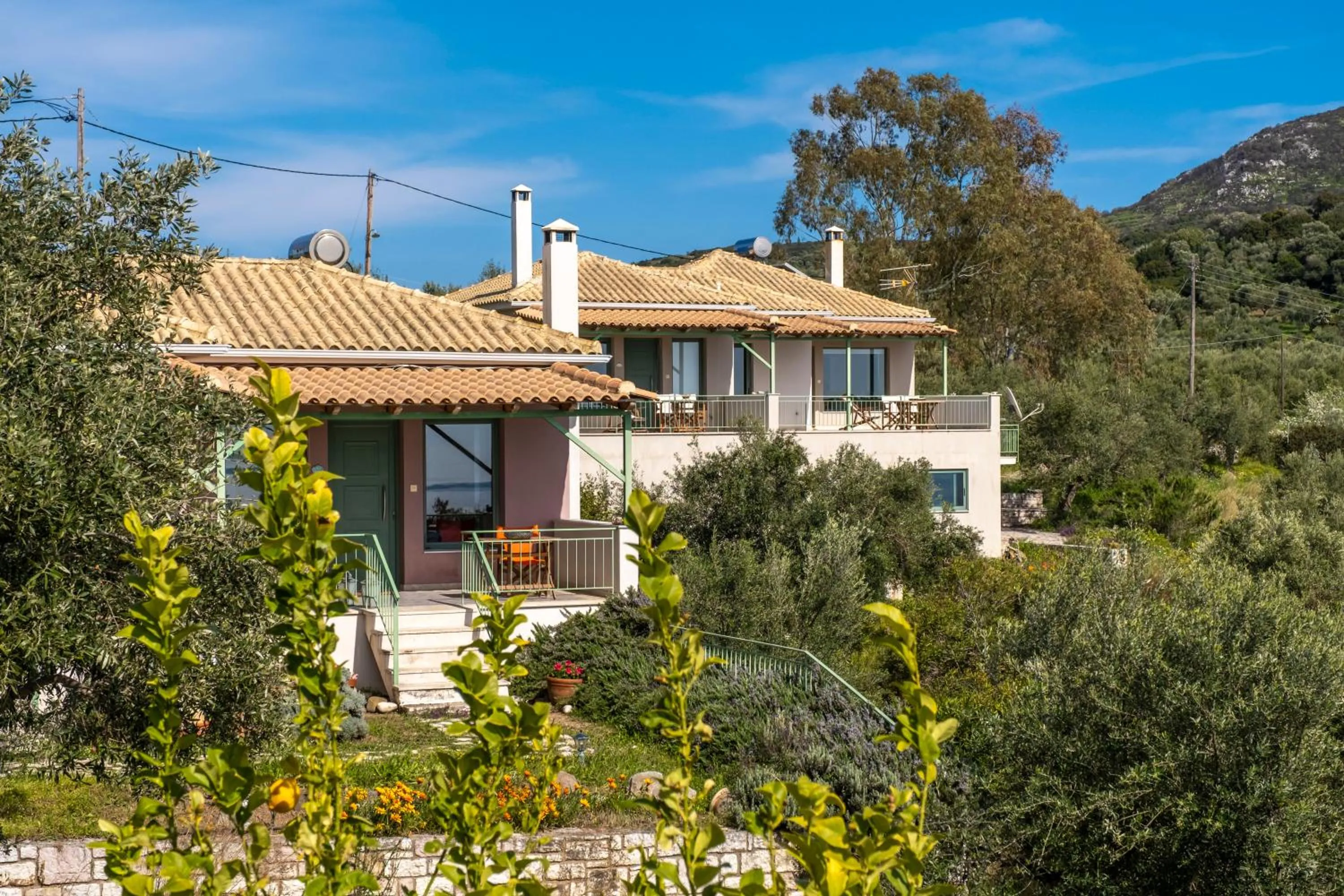Garden in Chamaloni Cottages