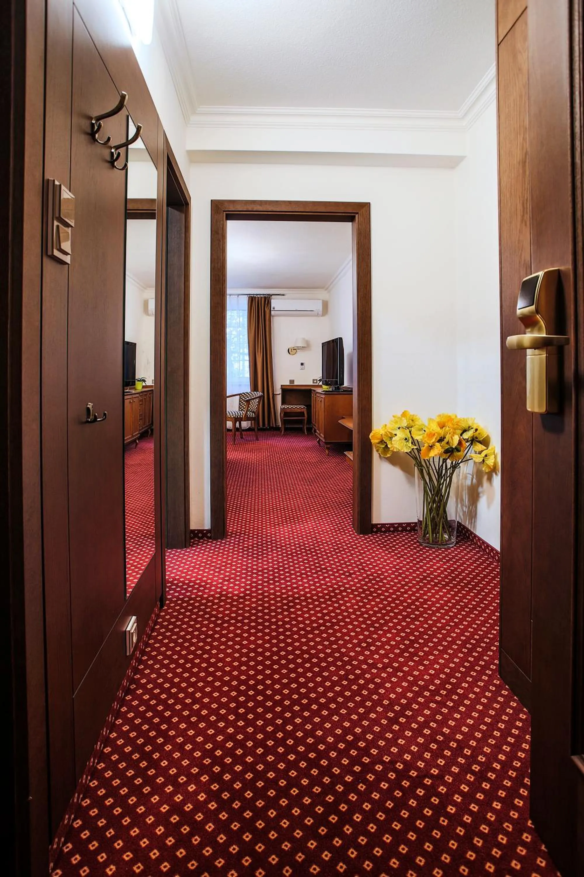 Area and facilities in Hotel Ostrov