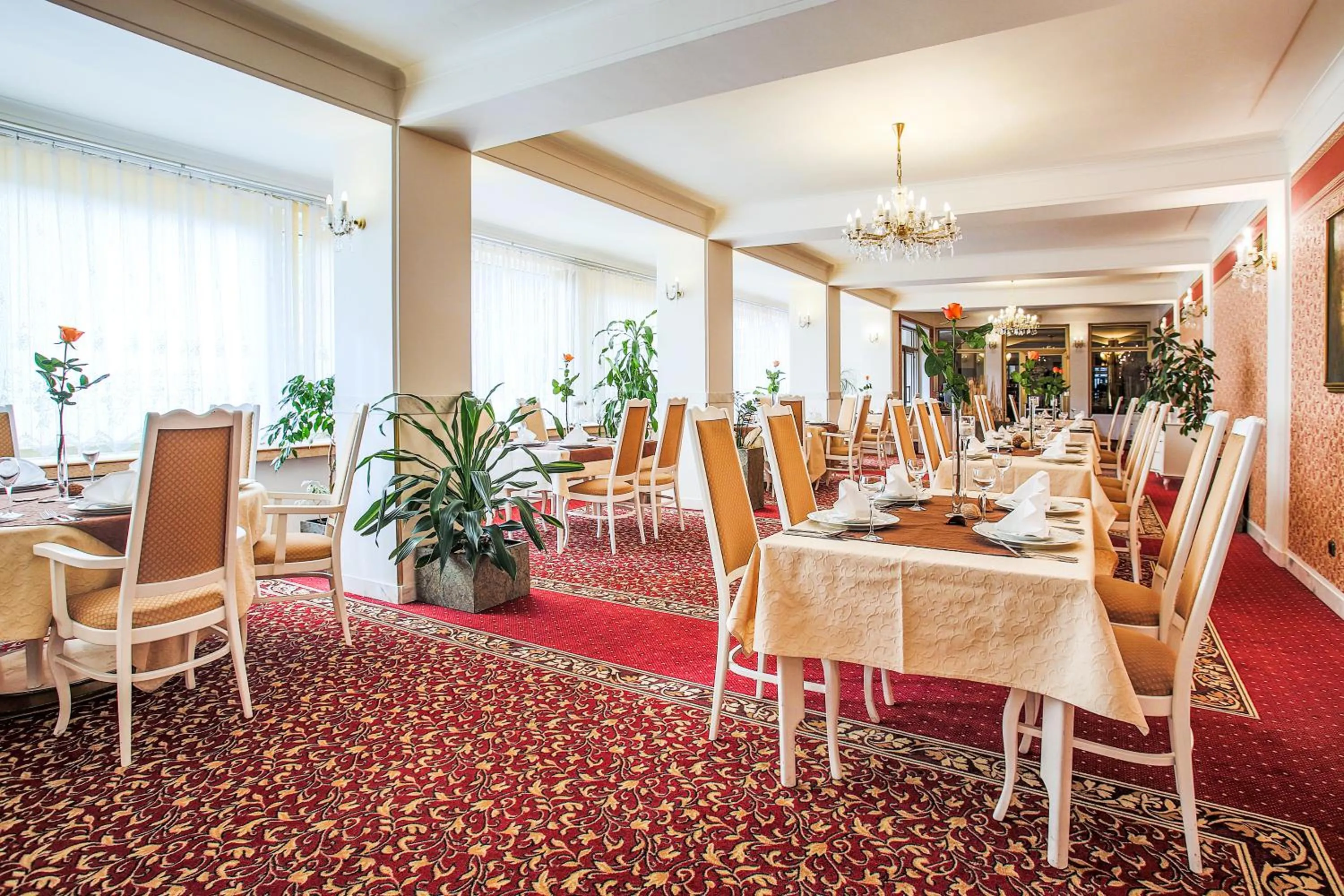 Restaurant/places to eat in Hotel Ostrov