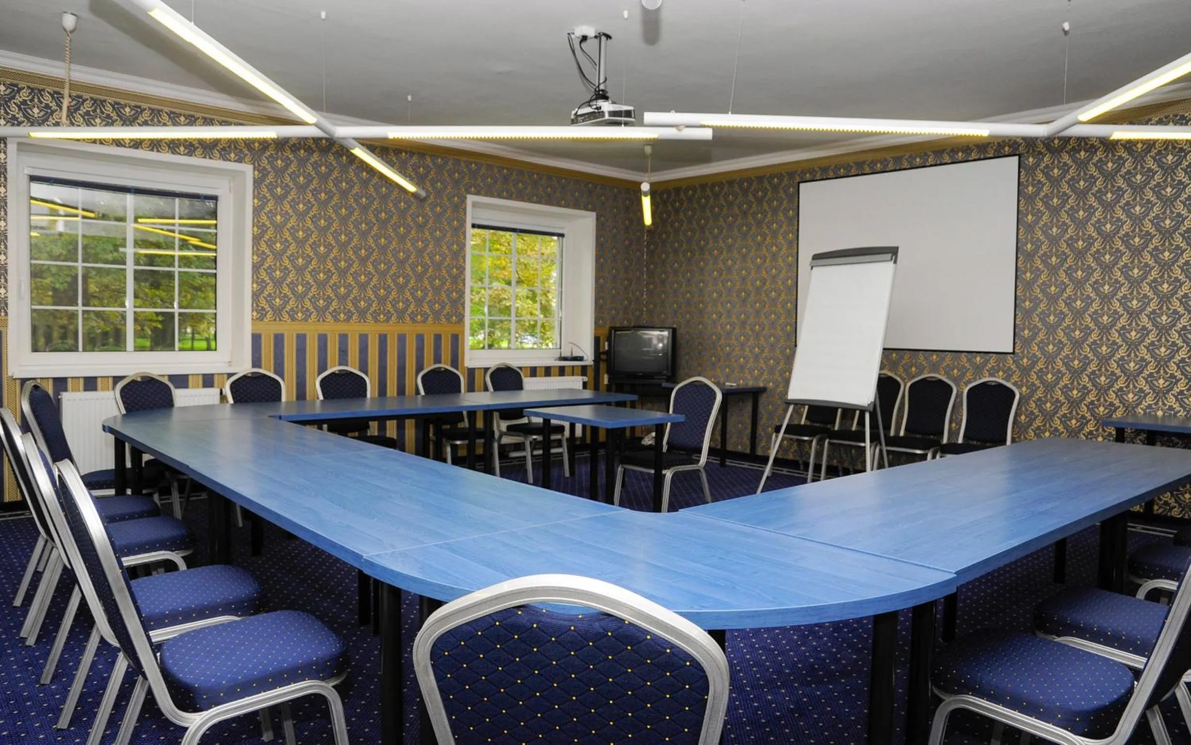 Business facilities in Hotel Ostrov