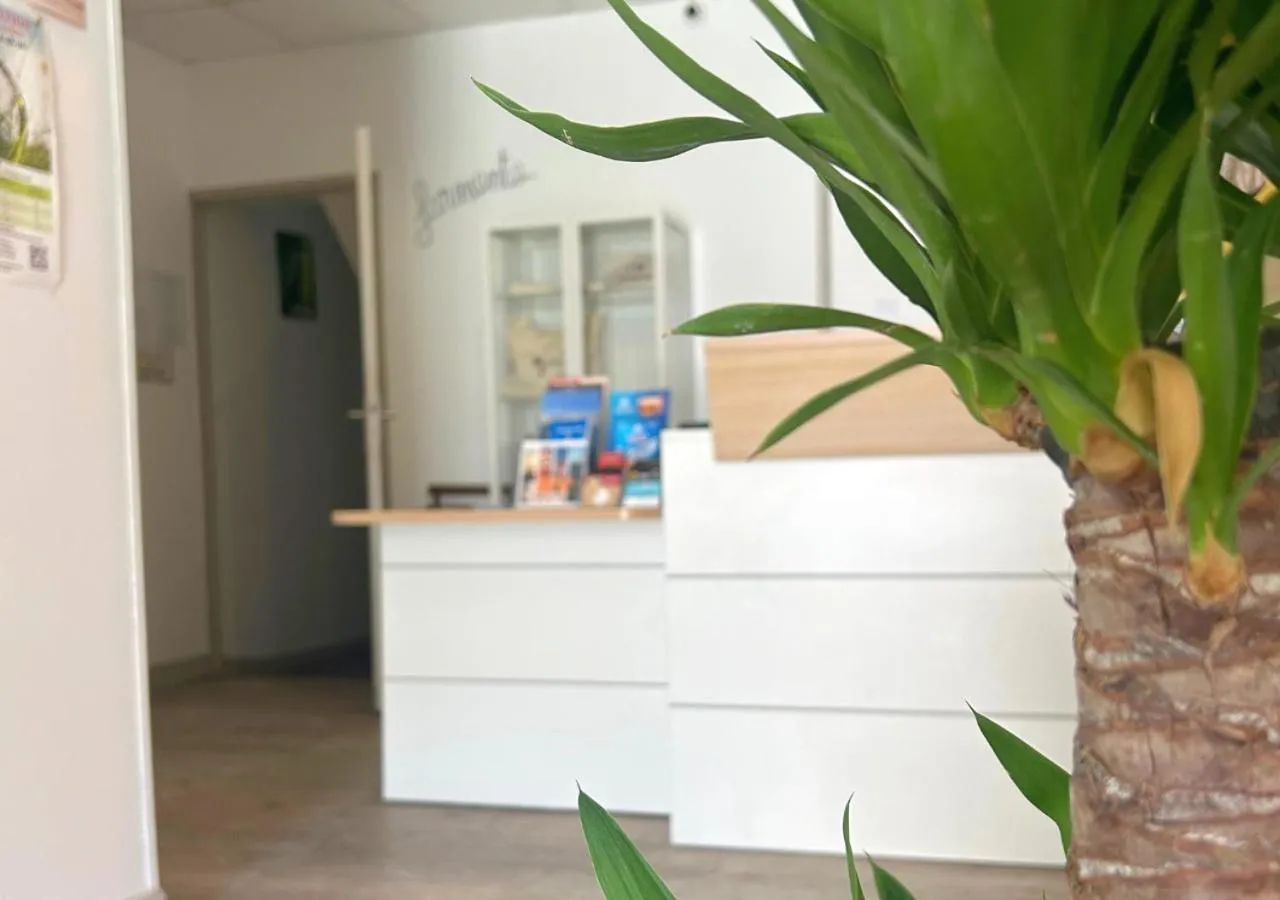 Lobby or reception in Hôtel Le Carnon