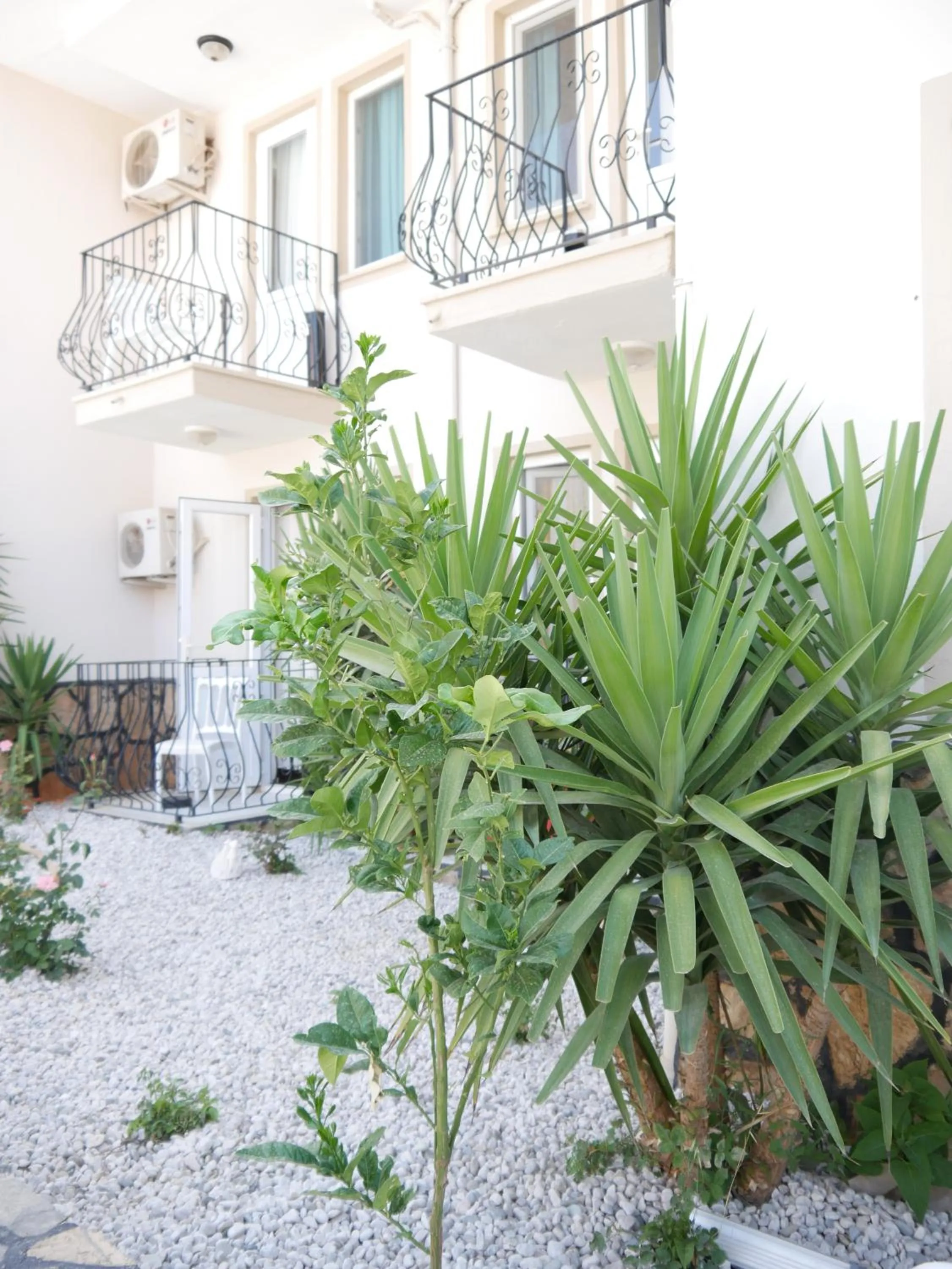 Nefis Hotel Ölüdeniz