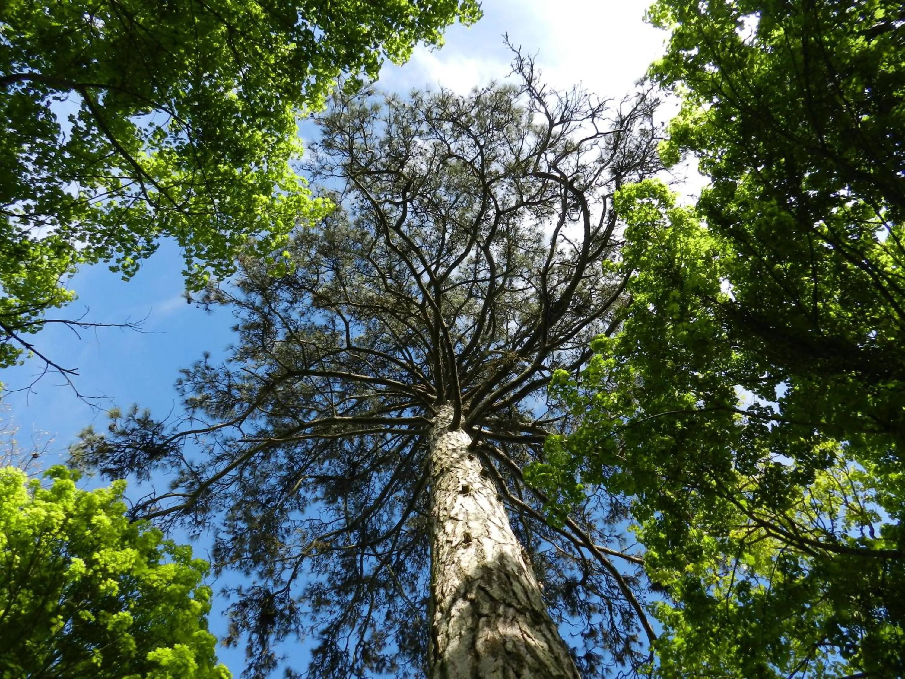 Natural landscape in Art House Domaine de l'Ocrerie