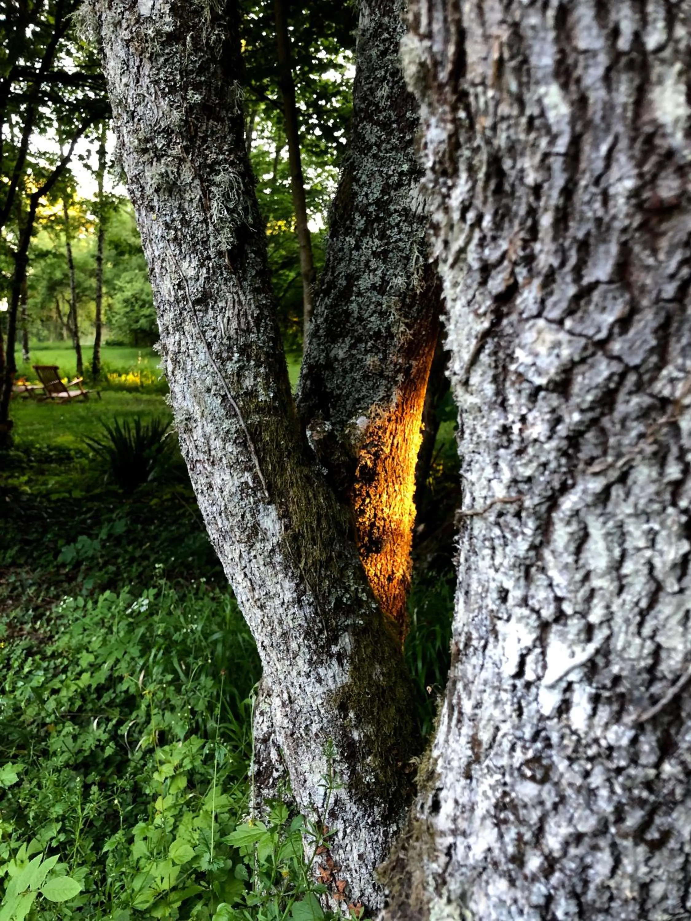Garden in Art House Domaine de l'Ocrerie