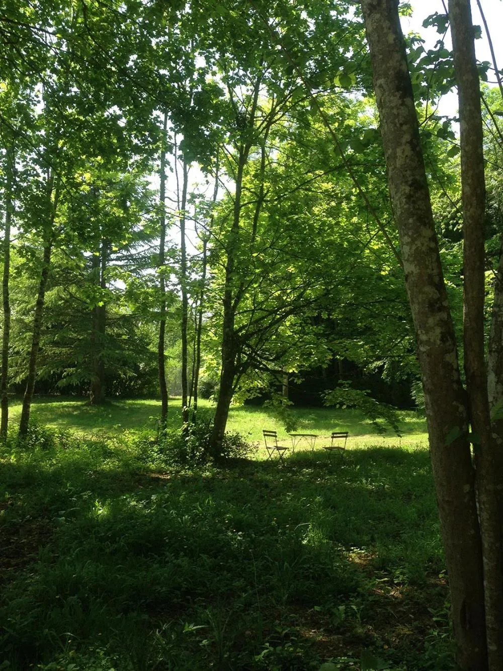 Garden in Art House Domaine de l'Ocrerie