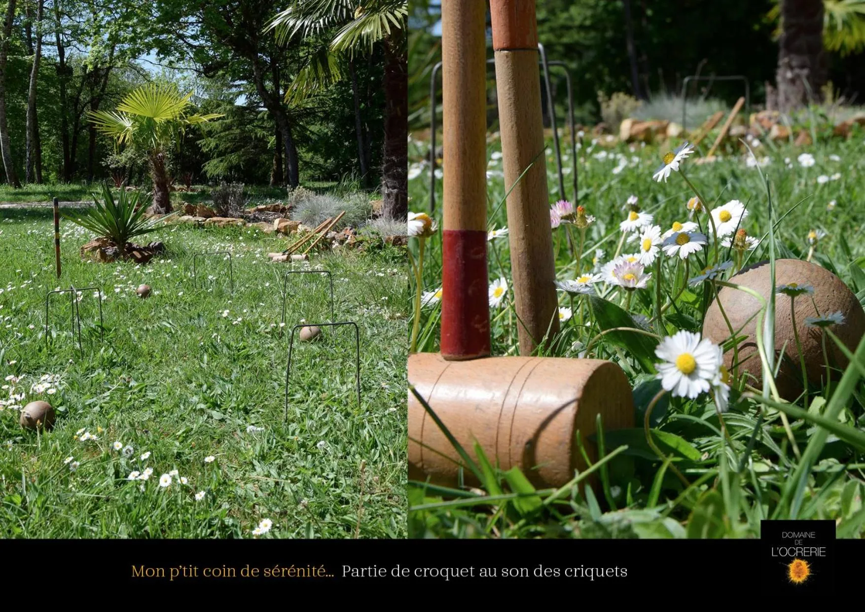 Natural landscape in Art House Domaine de l'Ocrerie