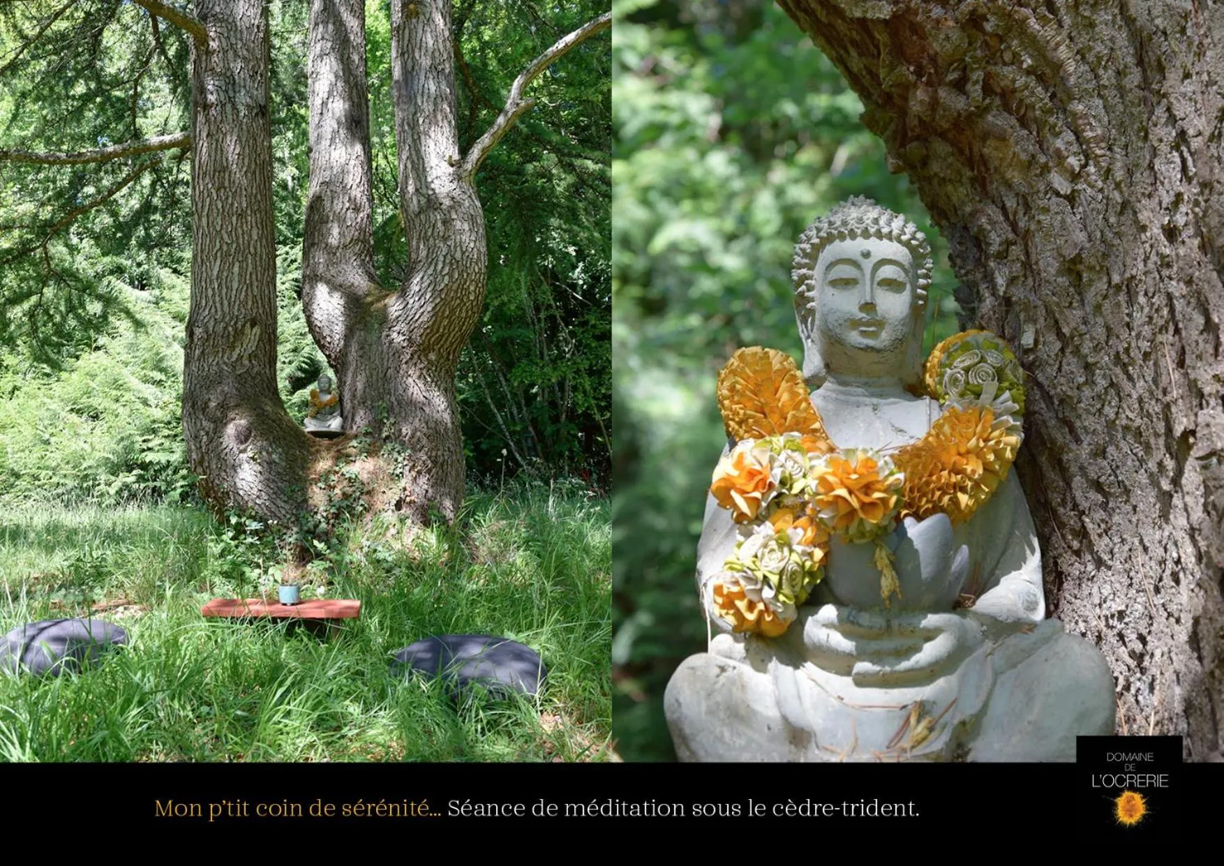 Natural landscape in Art House Domaine de l'Ocrerie