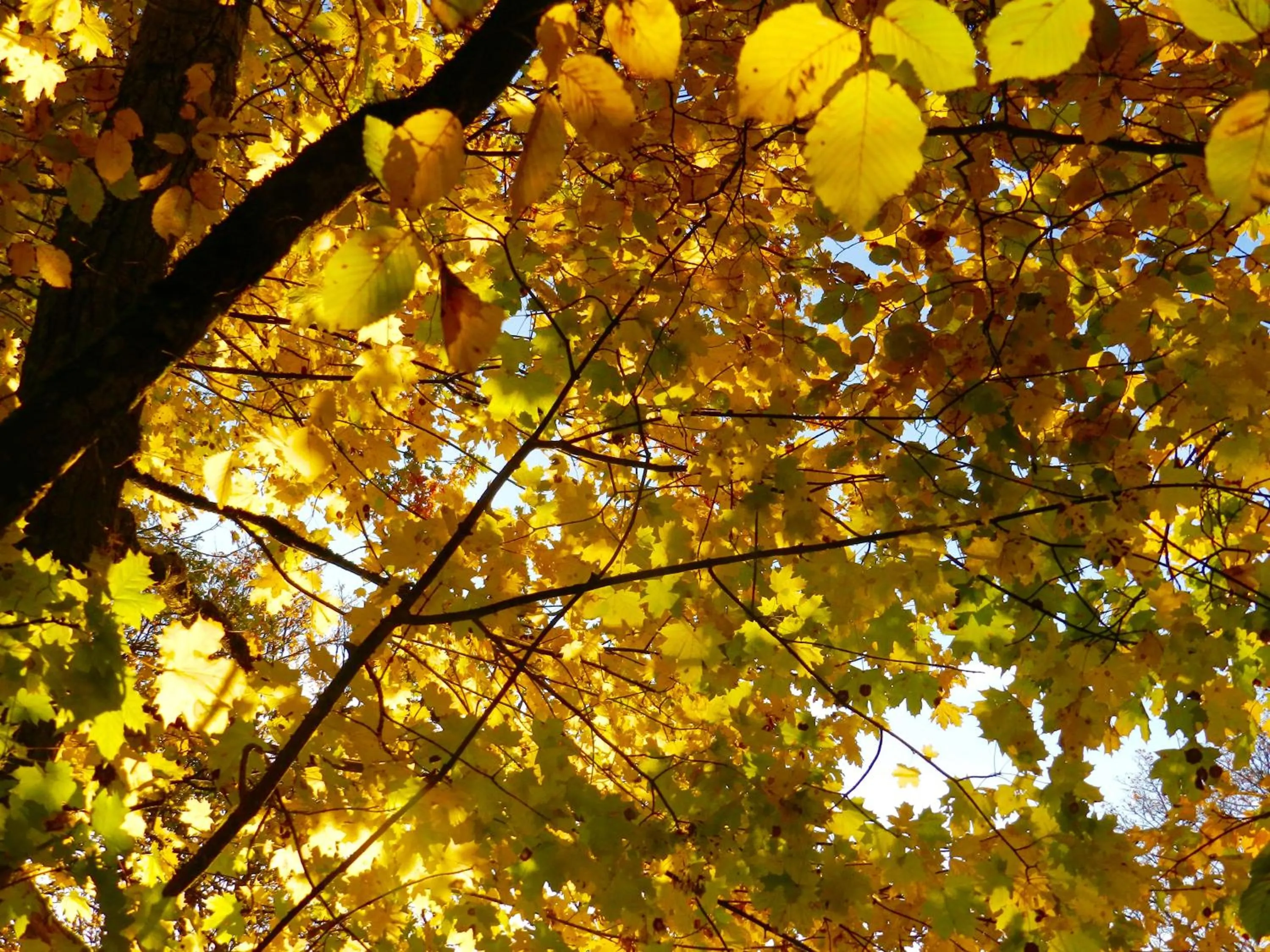 Garden in Art House Domaine de l'Ocrerie