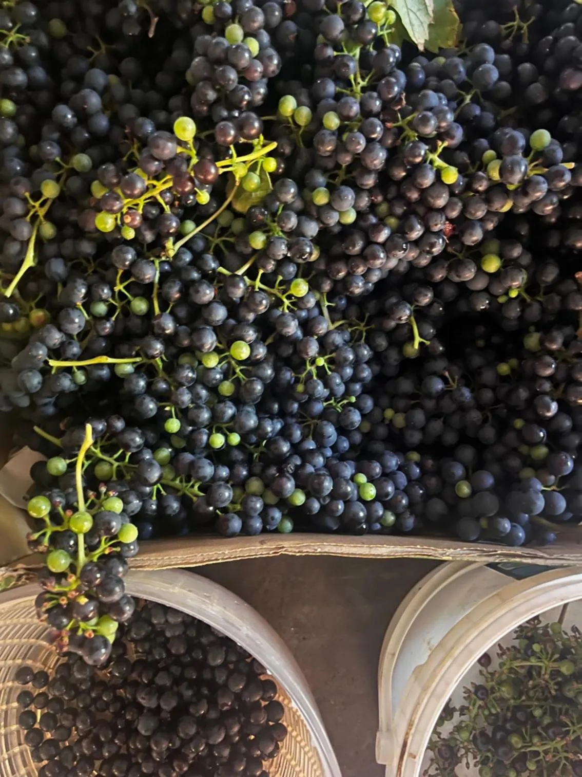 Garden in Art House Domaine de l'Ocrerie