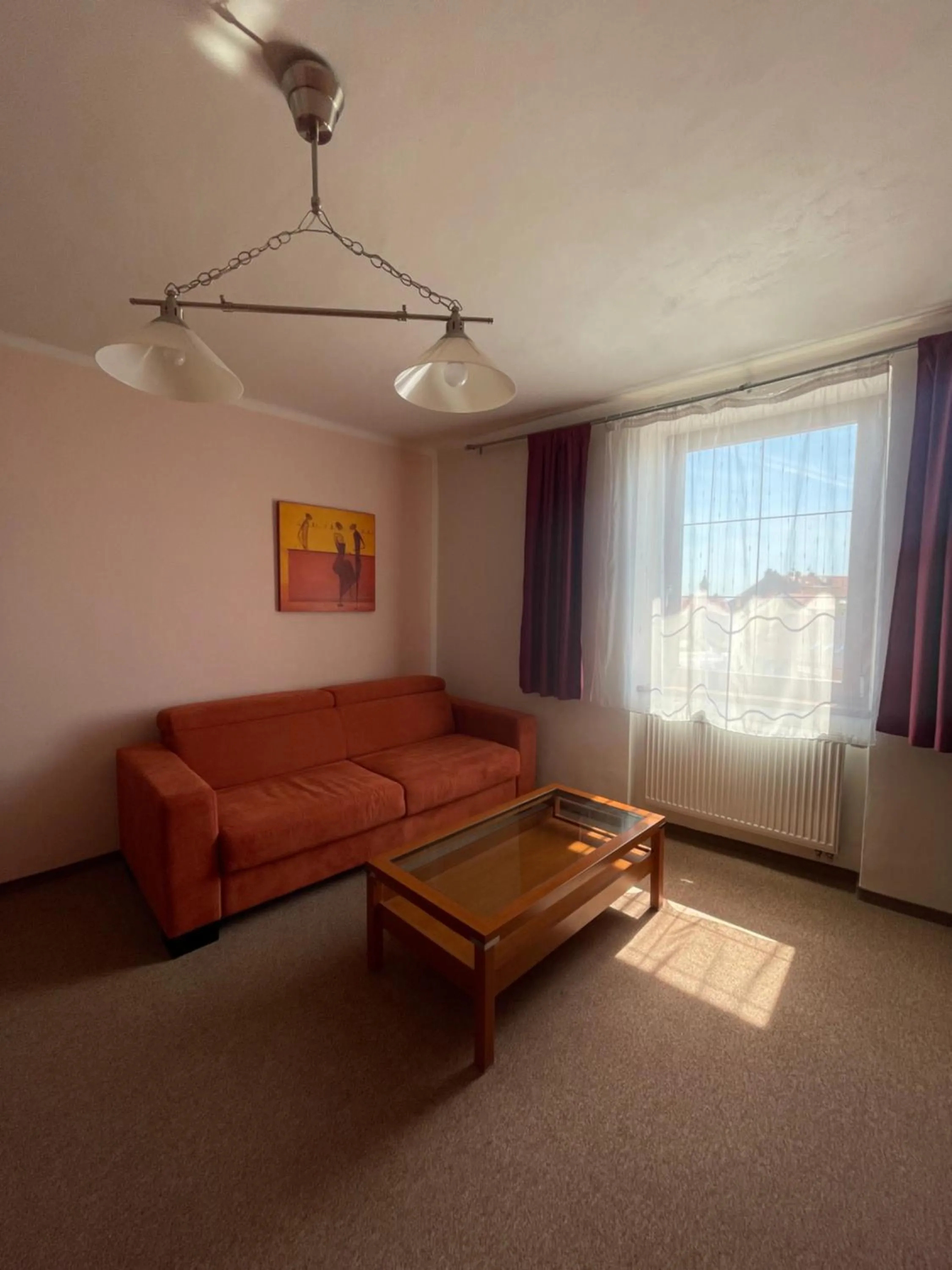 Living room in Hotel Ostrov Garni