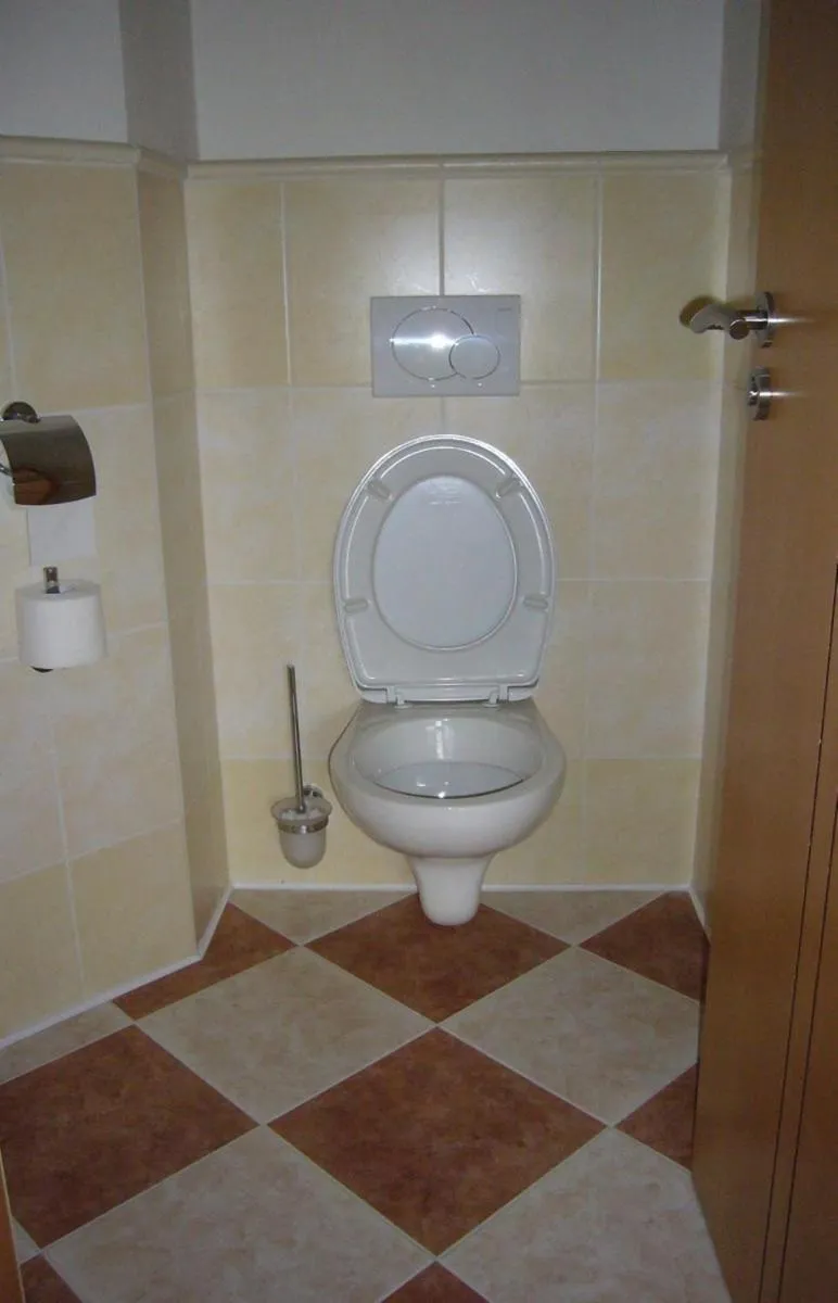 Toilet in Hotel Ostrov Garni