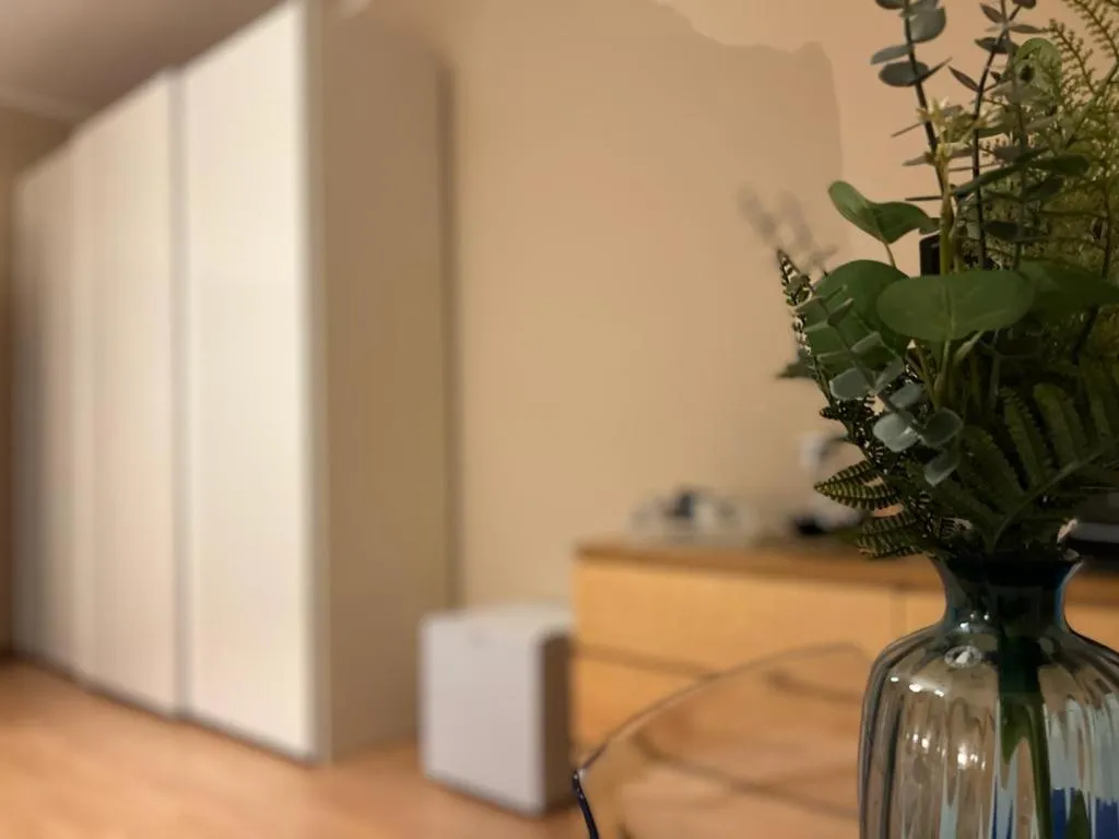 oven in Juliette Rooms