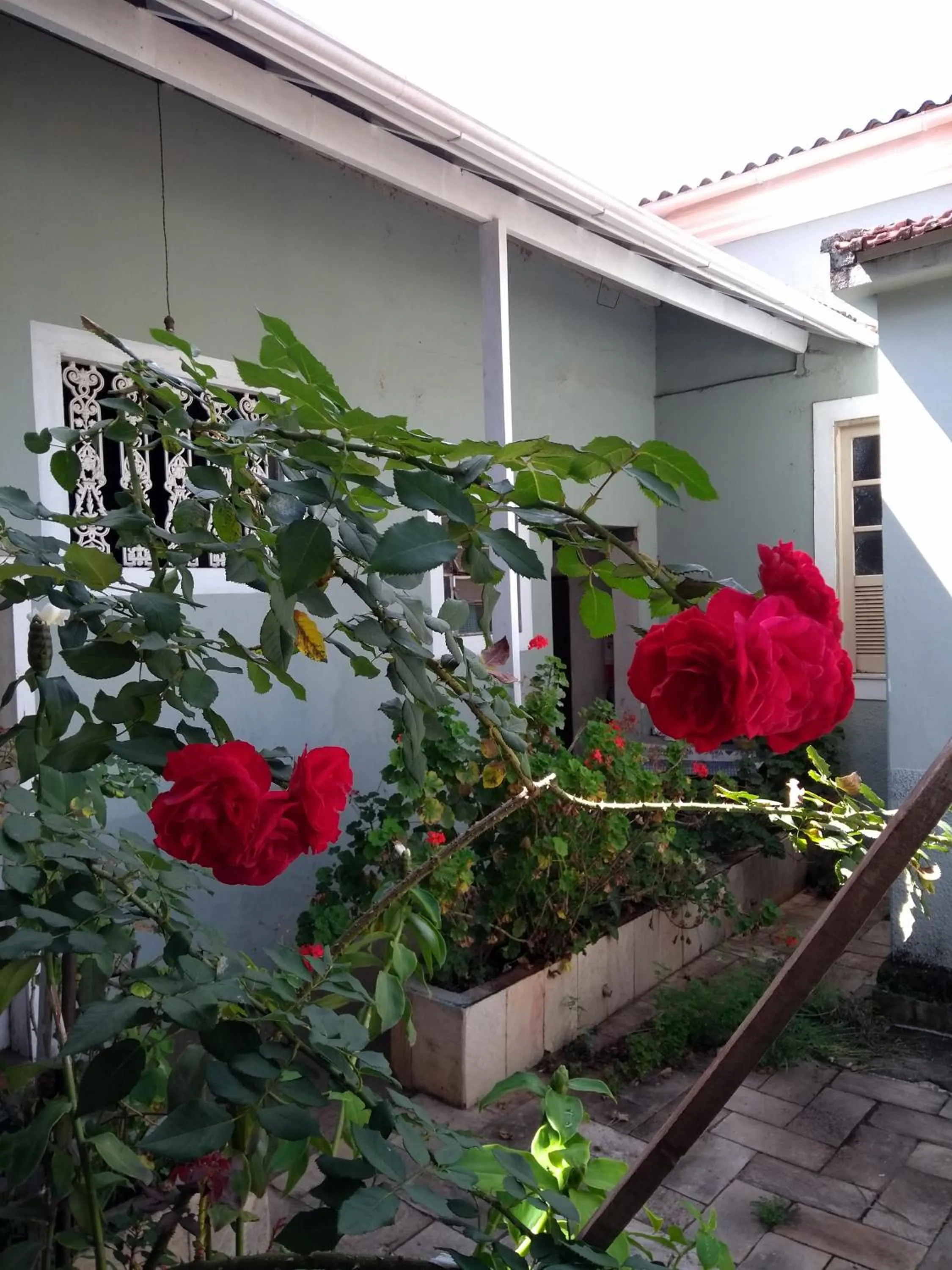 Garden in Hotel Bragança