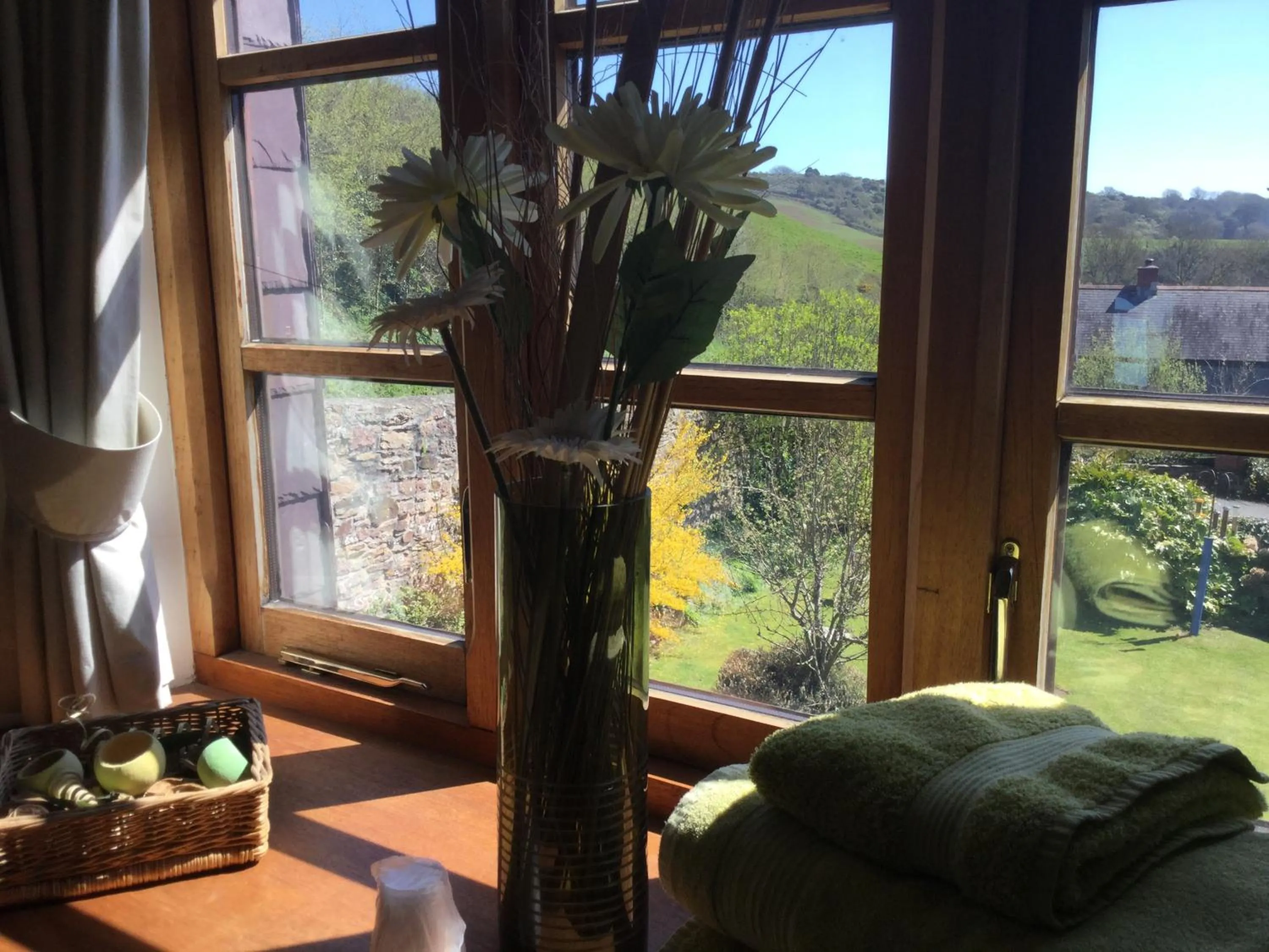 Garden view in Coombe House B&B