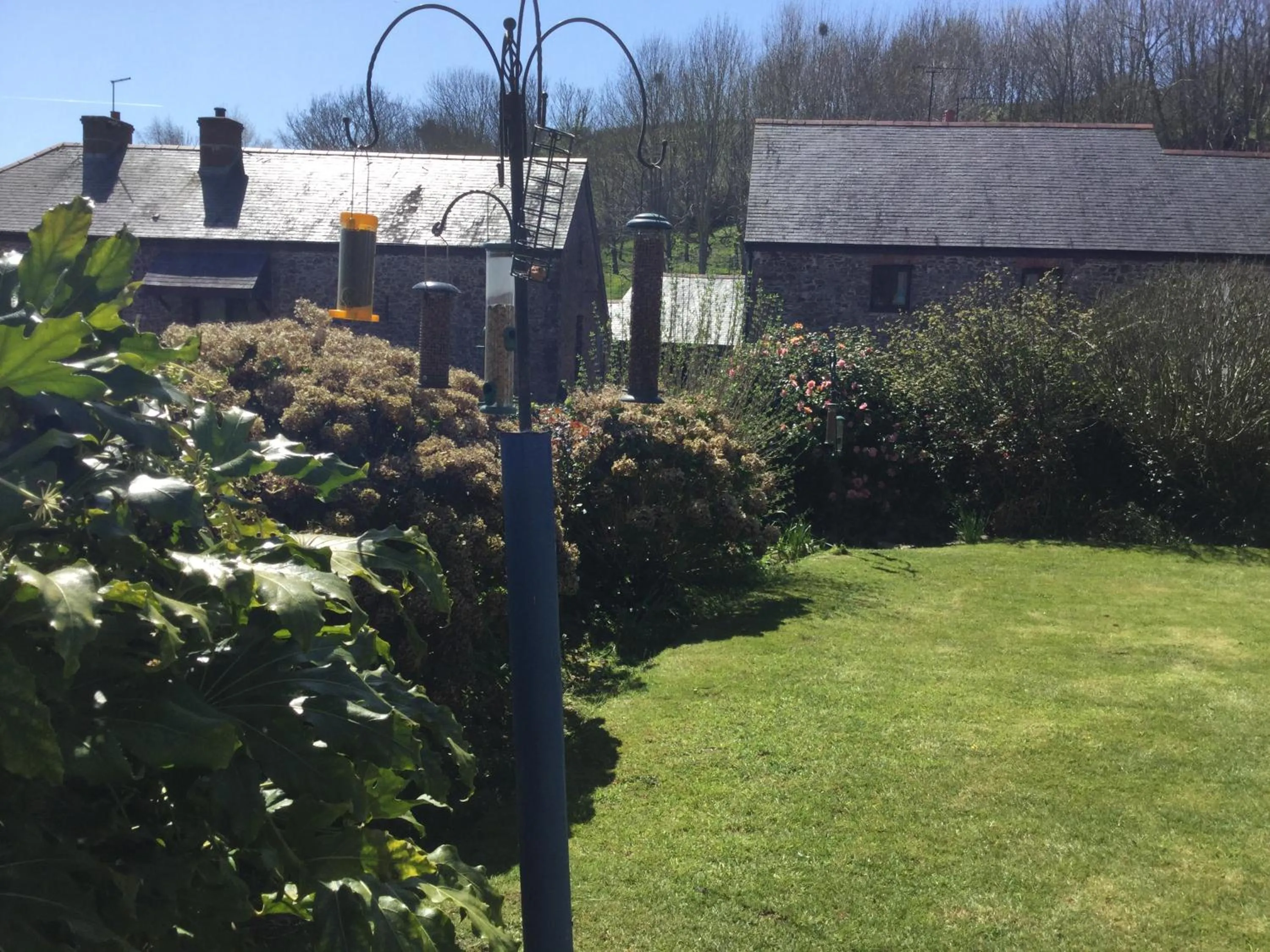 Garden in Coombe House B&B