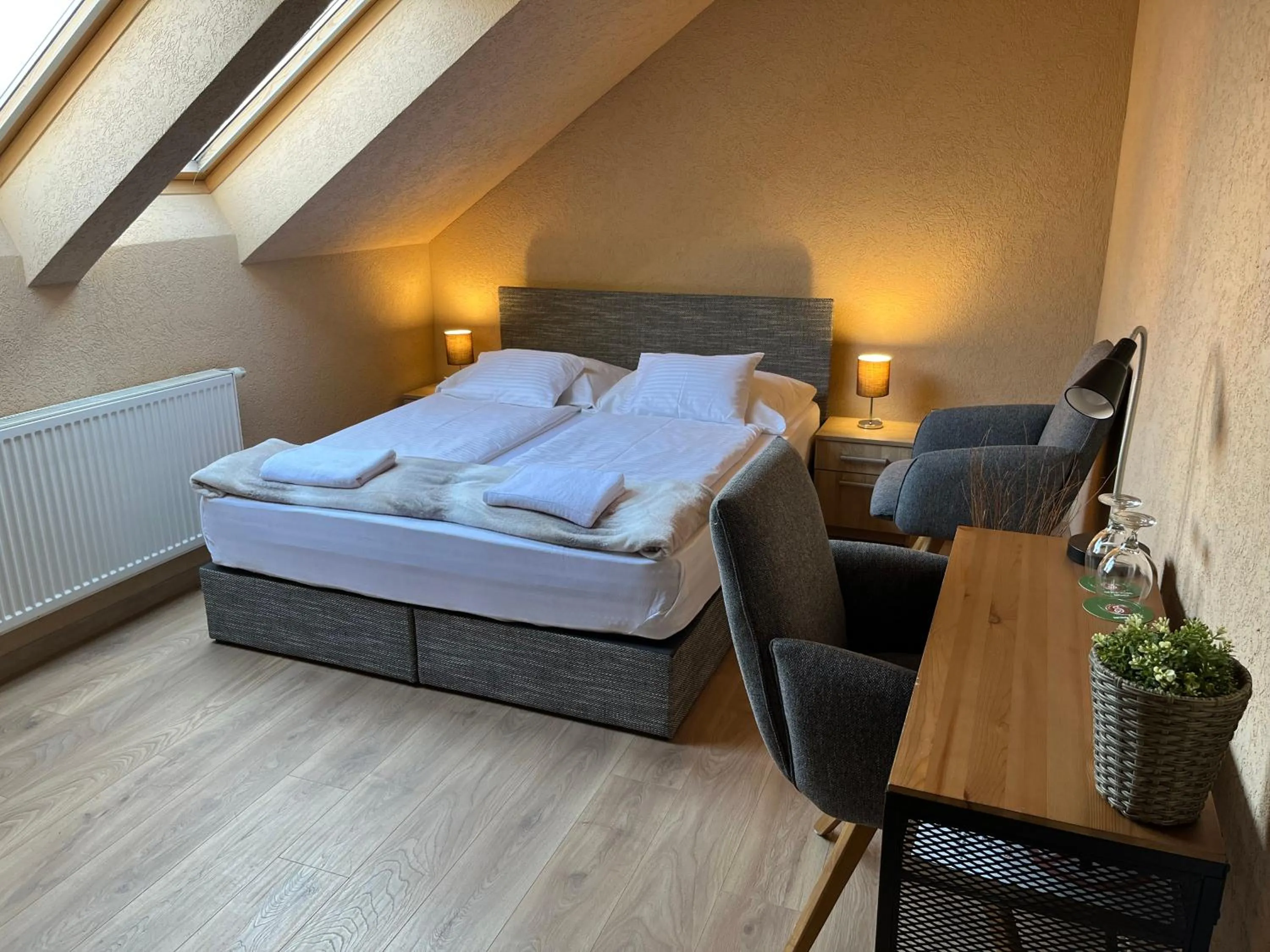 Double Room - single occupancy in Malom Club Panzió