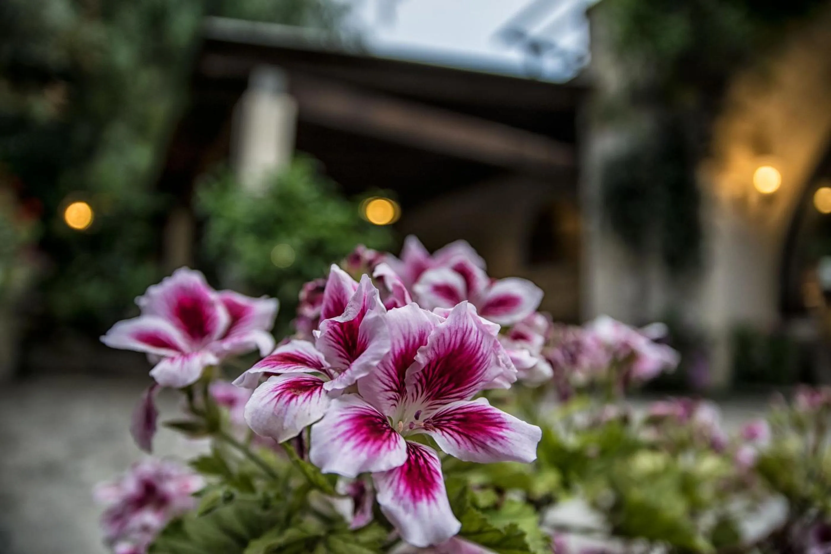 Property building in Masseria Gattamora