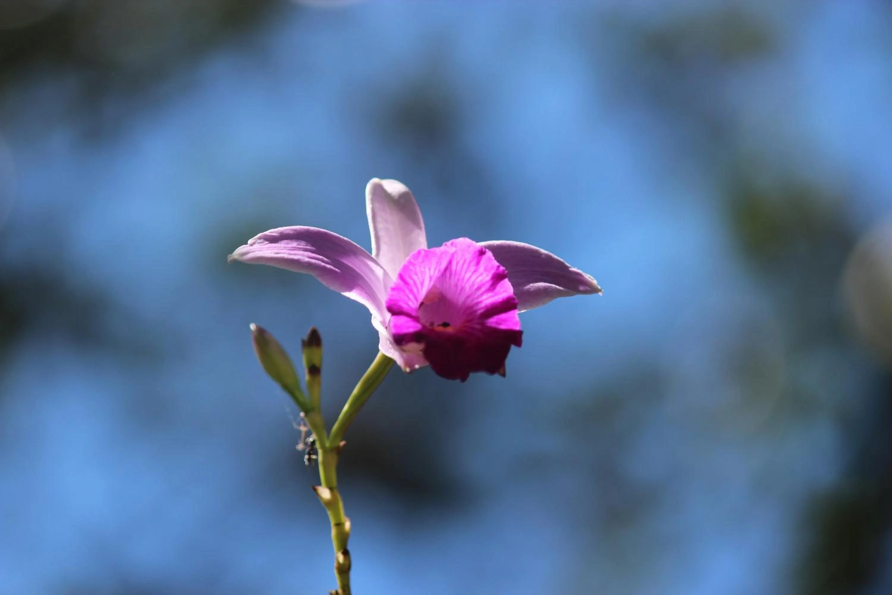 Other in Pousada Canto Verde