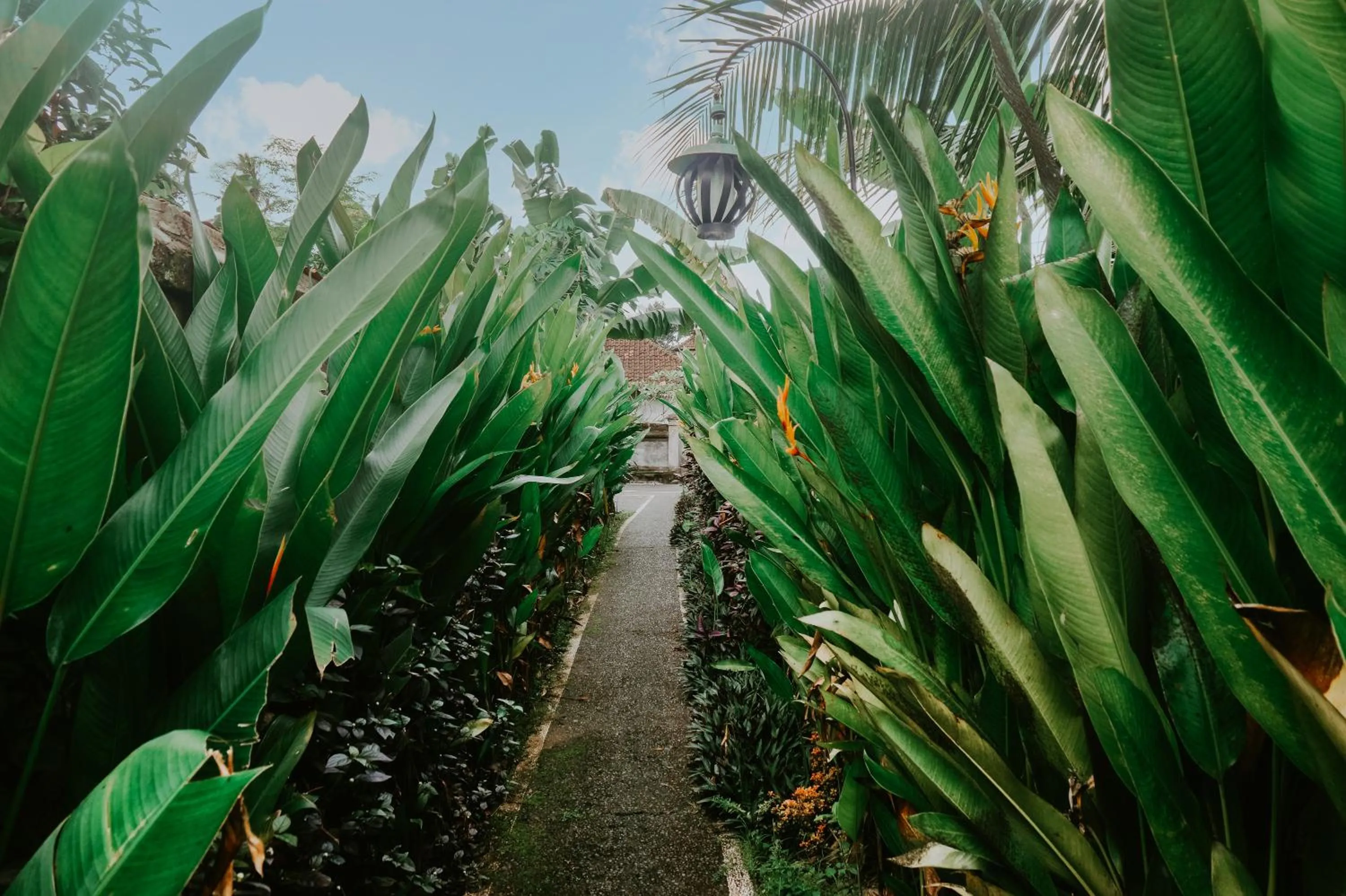Neighbourhood in Anggira Villa Ubud