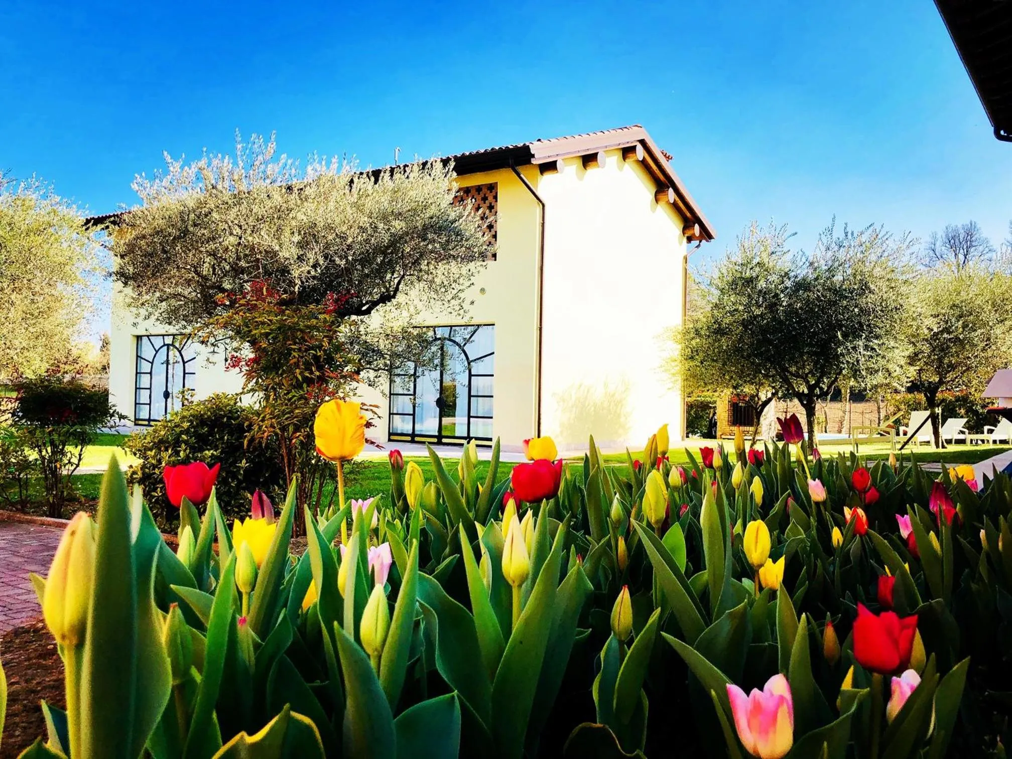 Agriturismo Bitturelli