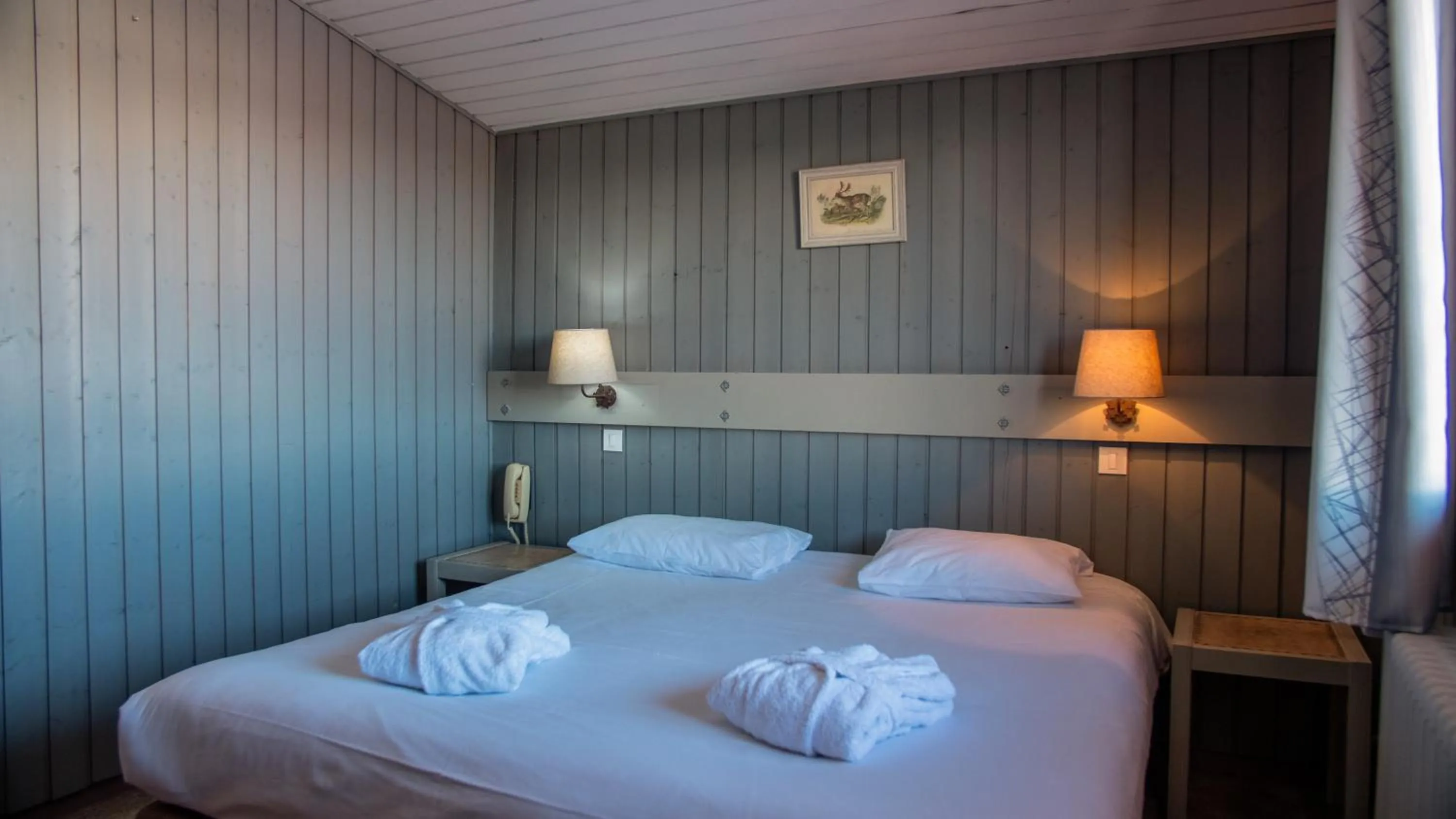 Bed in Hôtel Arbois Bettex