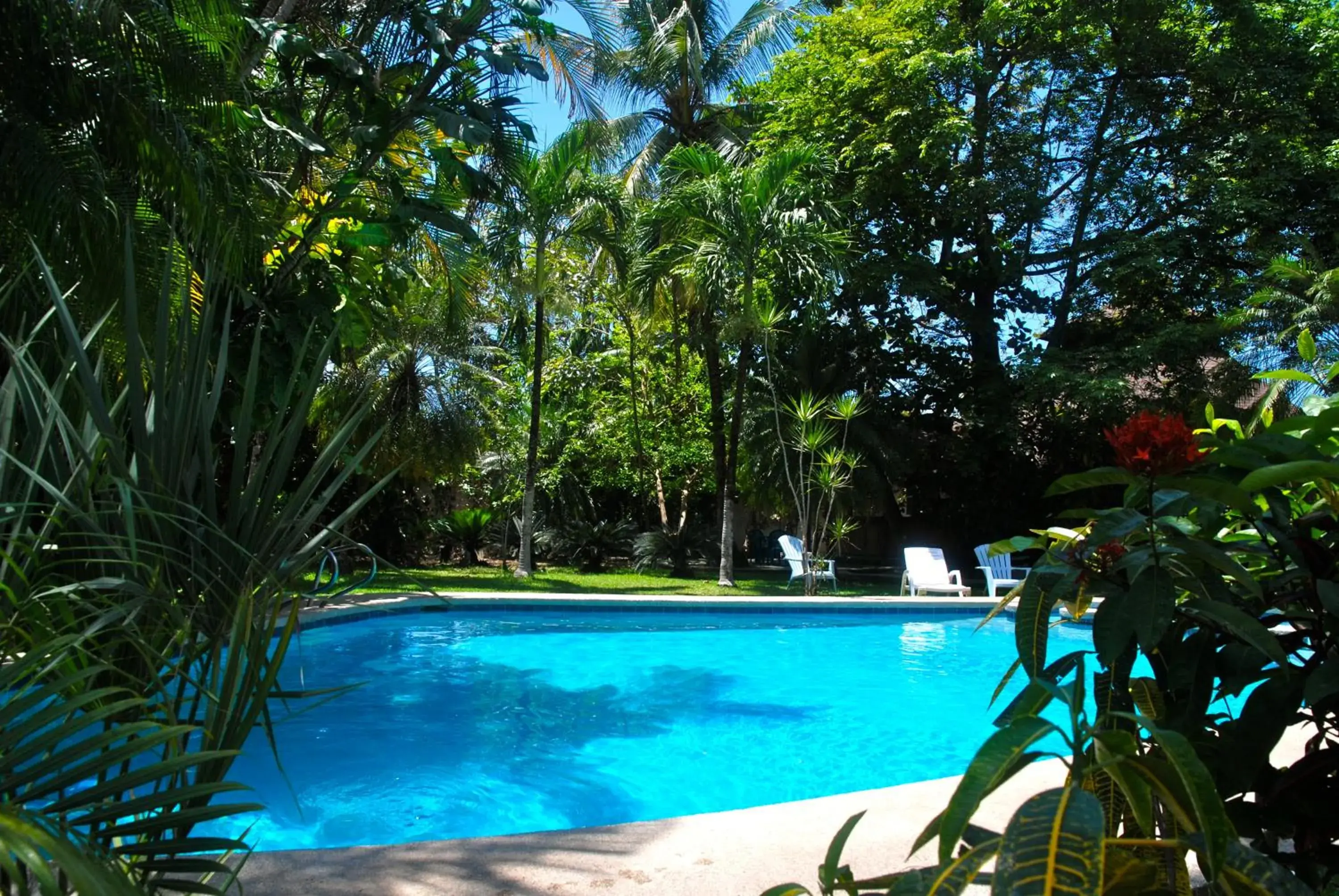 Swimming pool in Samara Beach Hotel Swimming pool in Samara Beach Hotel