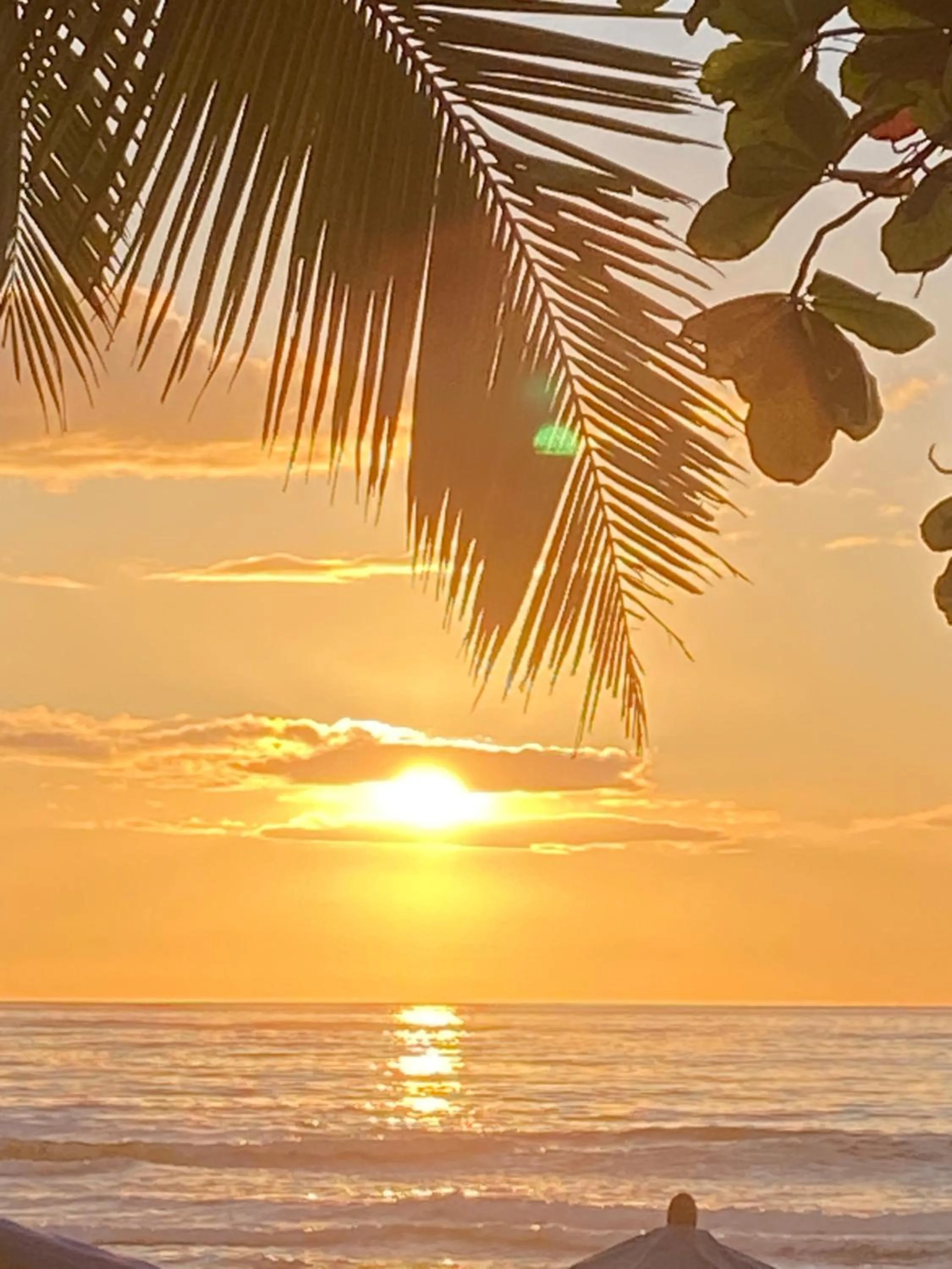 Beach in Samara Beach Hotel