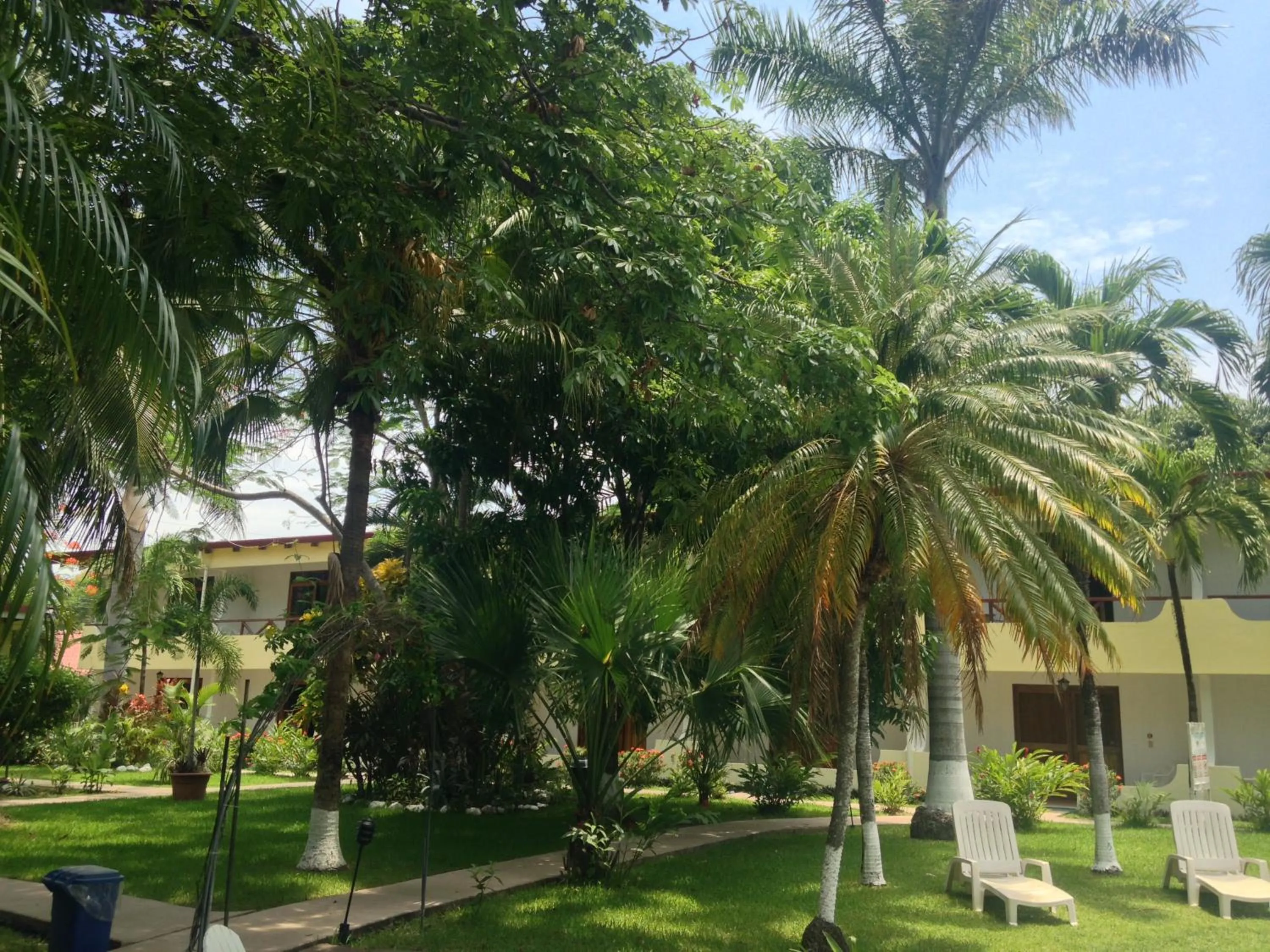 Natural landscape in Samara Beach Hotel