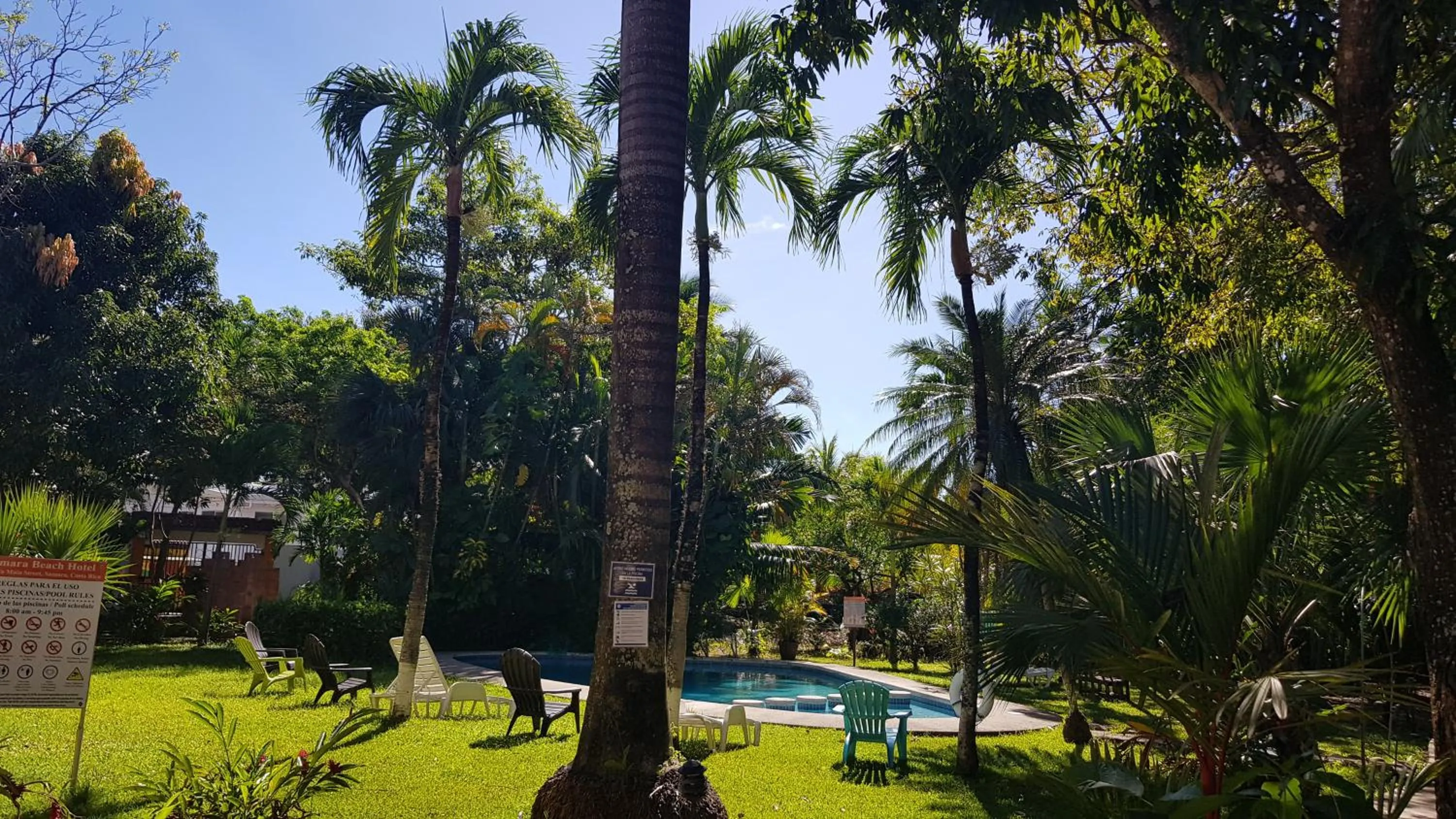 Garden in Samara Beach Hotel
