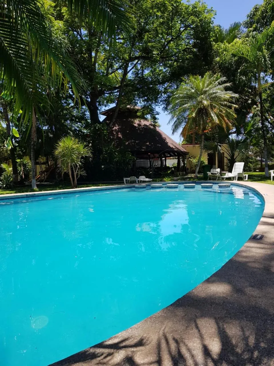 Pool view in Samara Beach Hotel