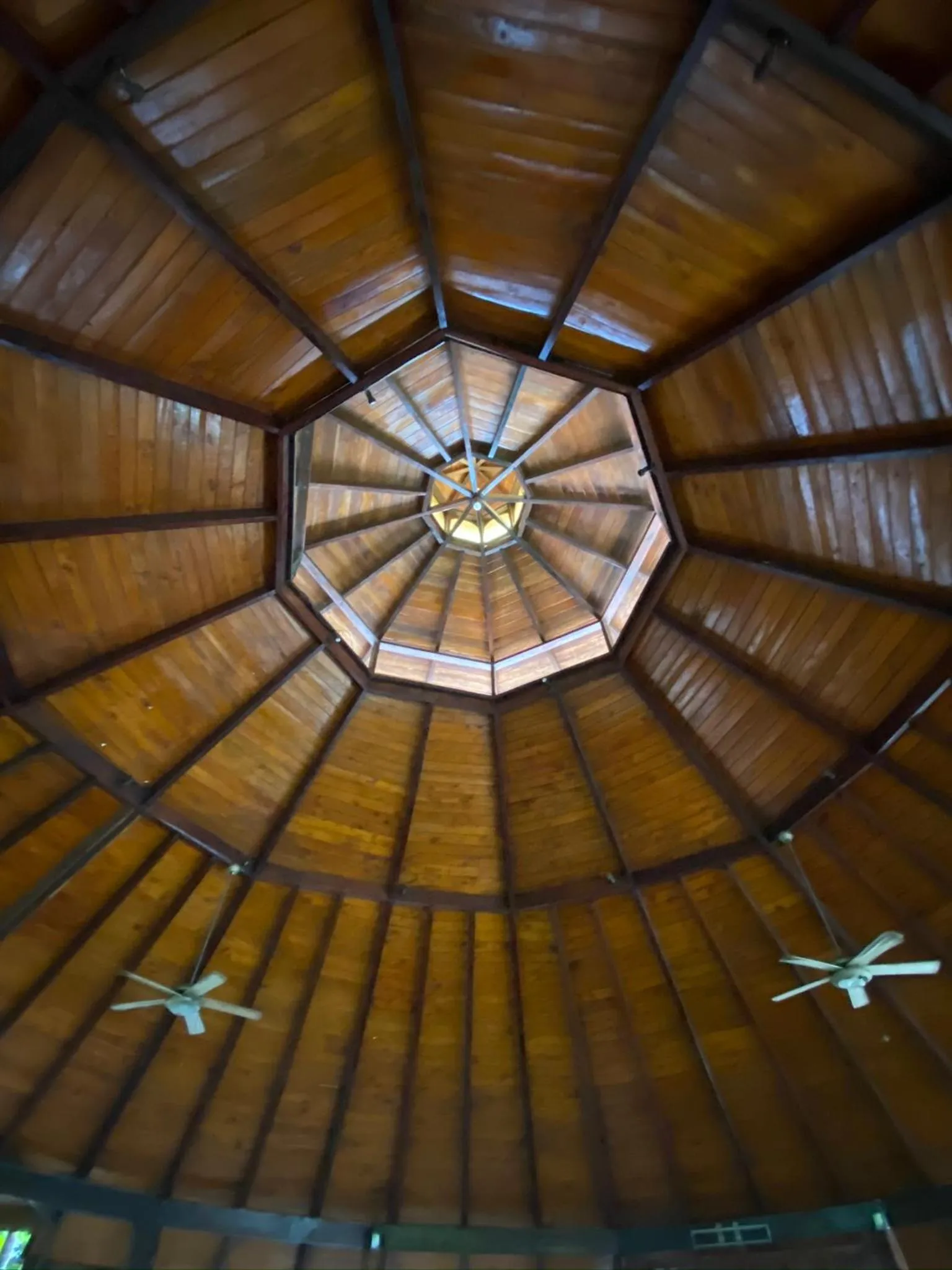 Restaurant/places to eat in Samara Beach Hotel