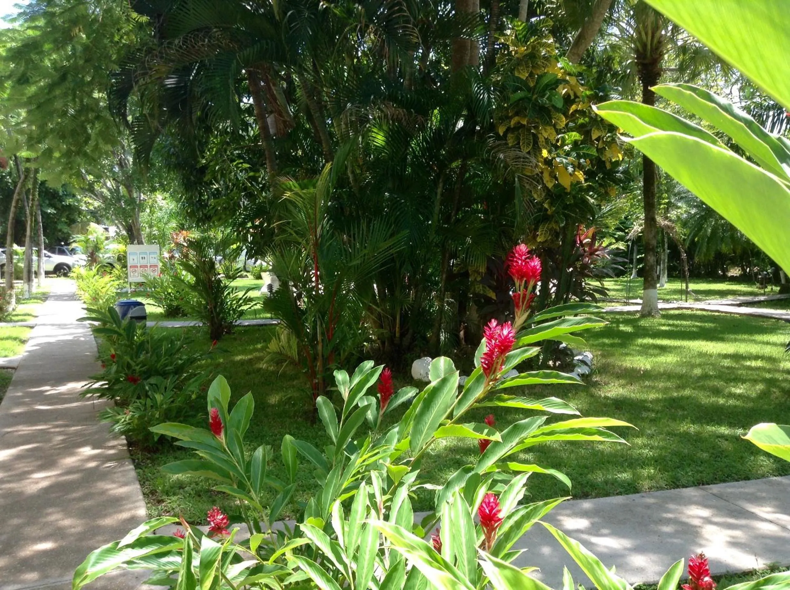 Garden in Samara Beach Hotel