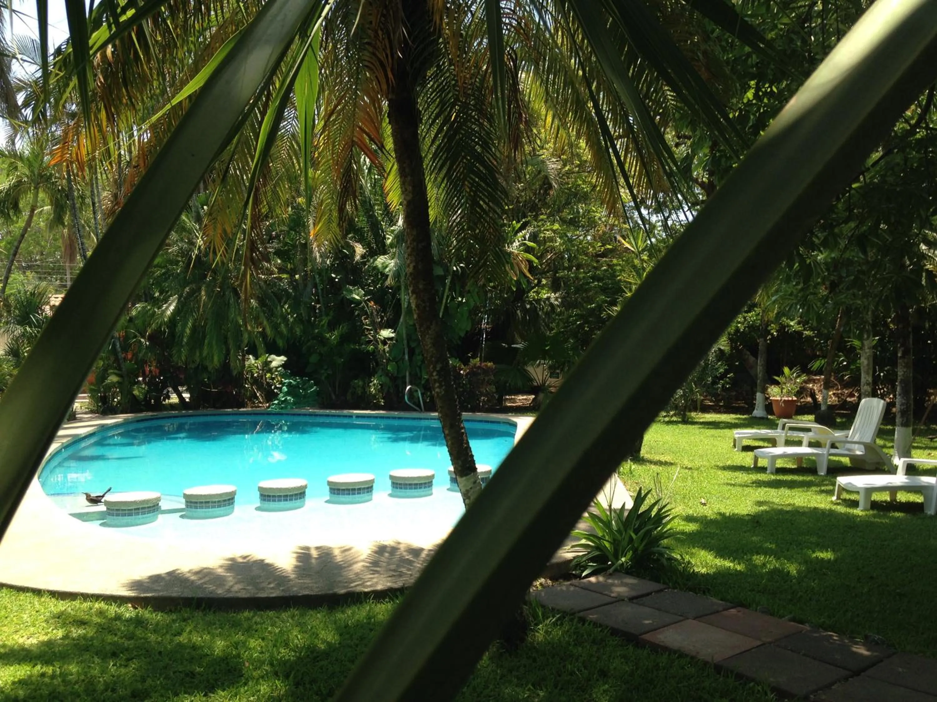 Garden in Samara Beach Hotel
