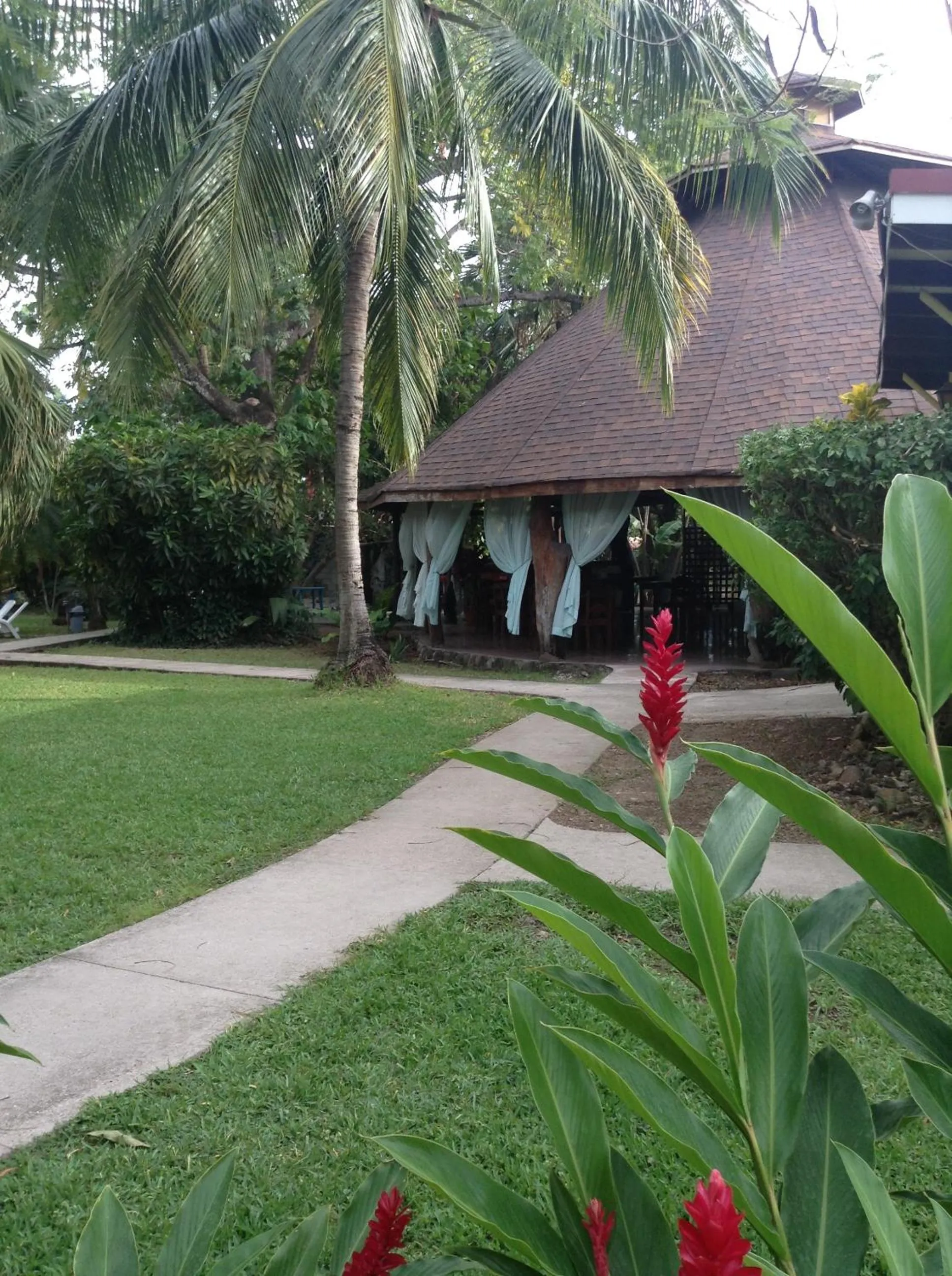 Garden in Samara Beach Hotel