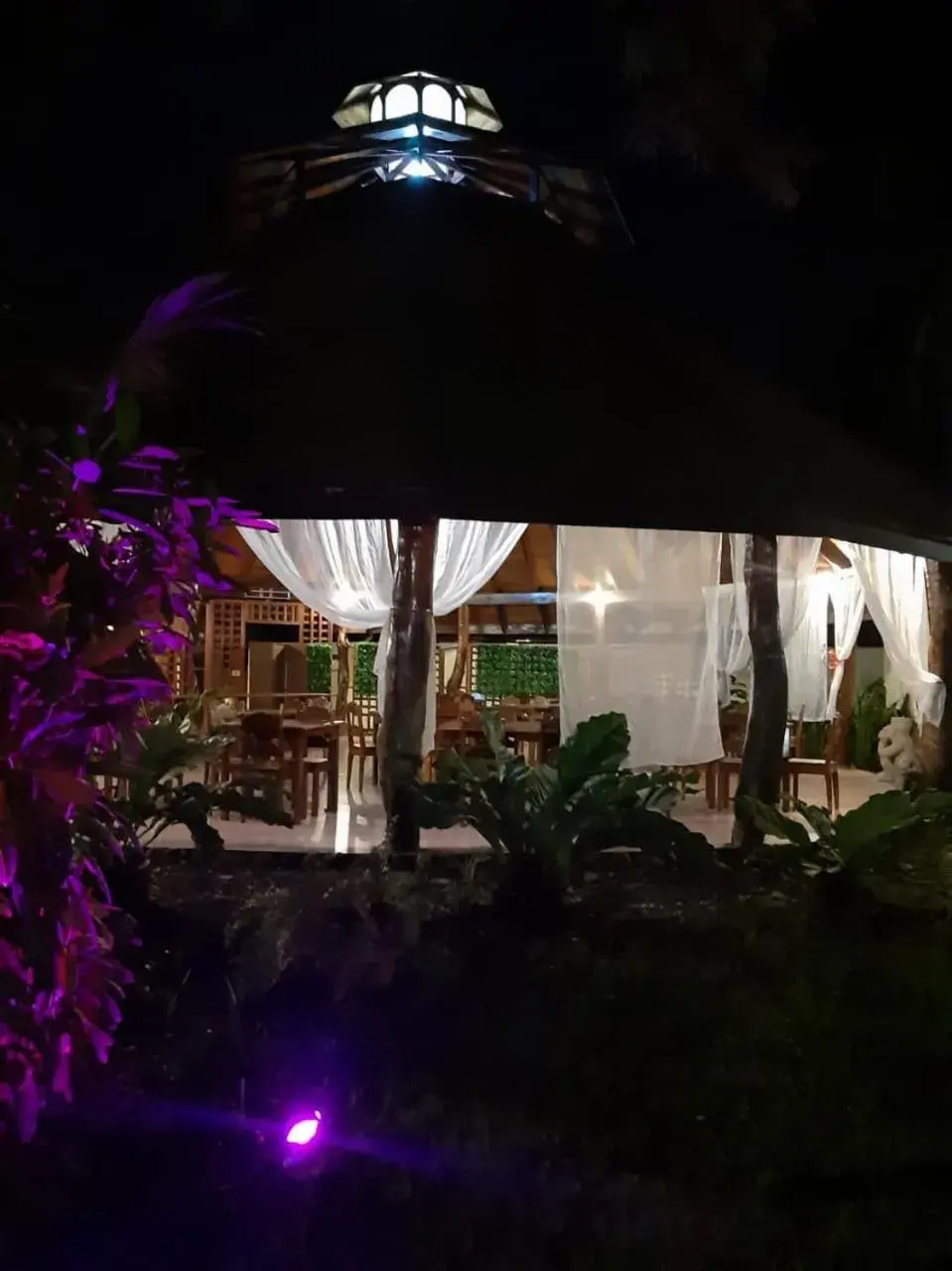 Restaurant/places to eat in Samara Beach Hotel Restaurant/places to eat in Samara Beach Hotel