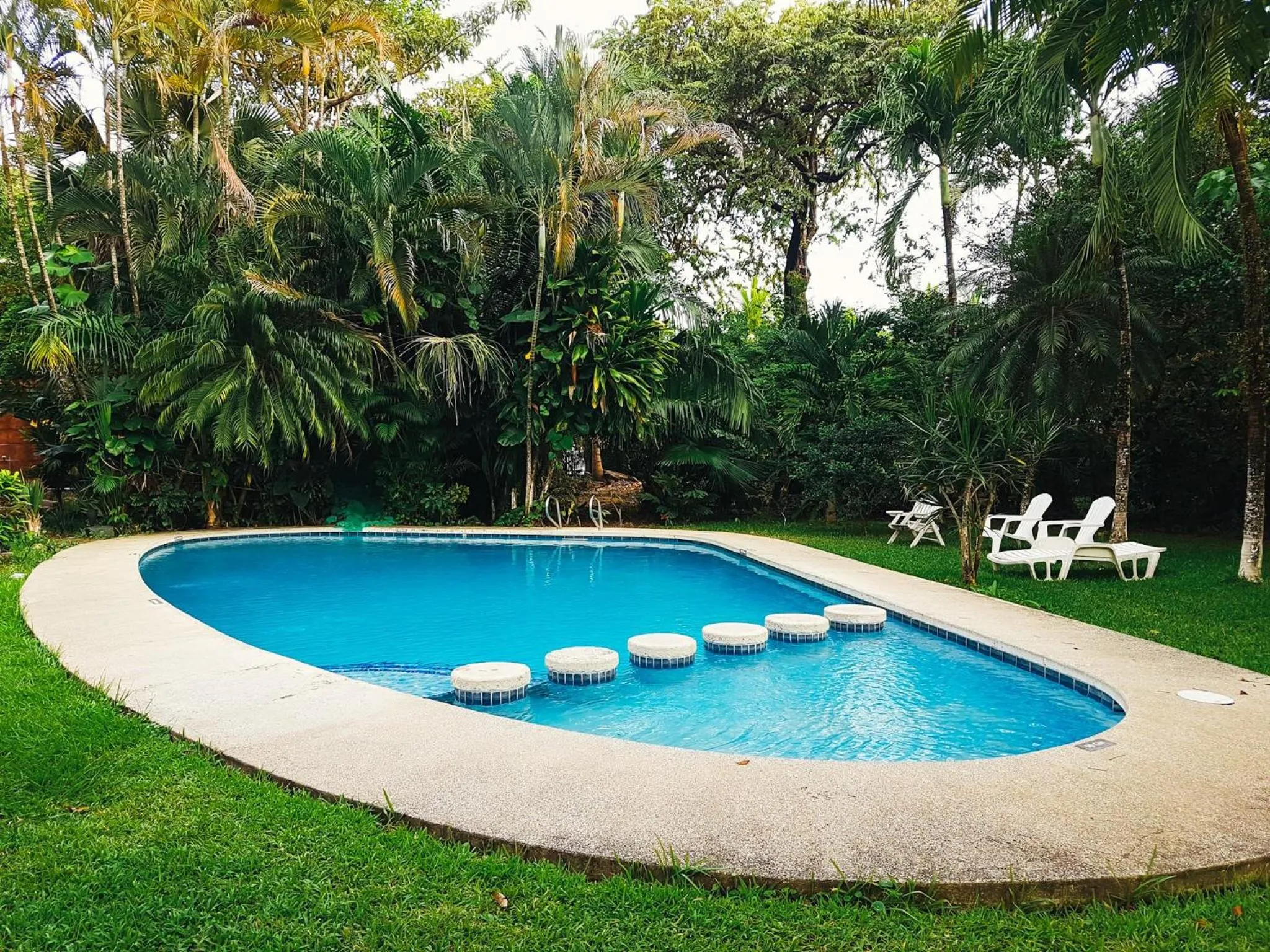 Garden in Samara Beach Hotel