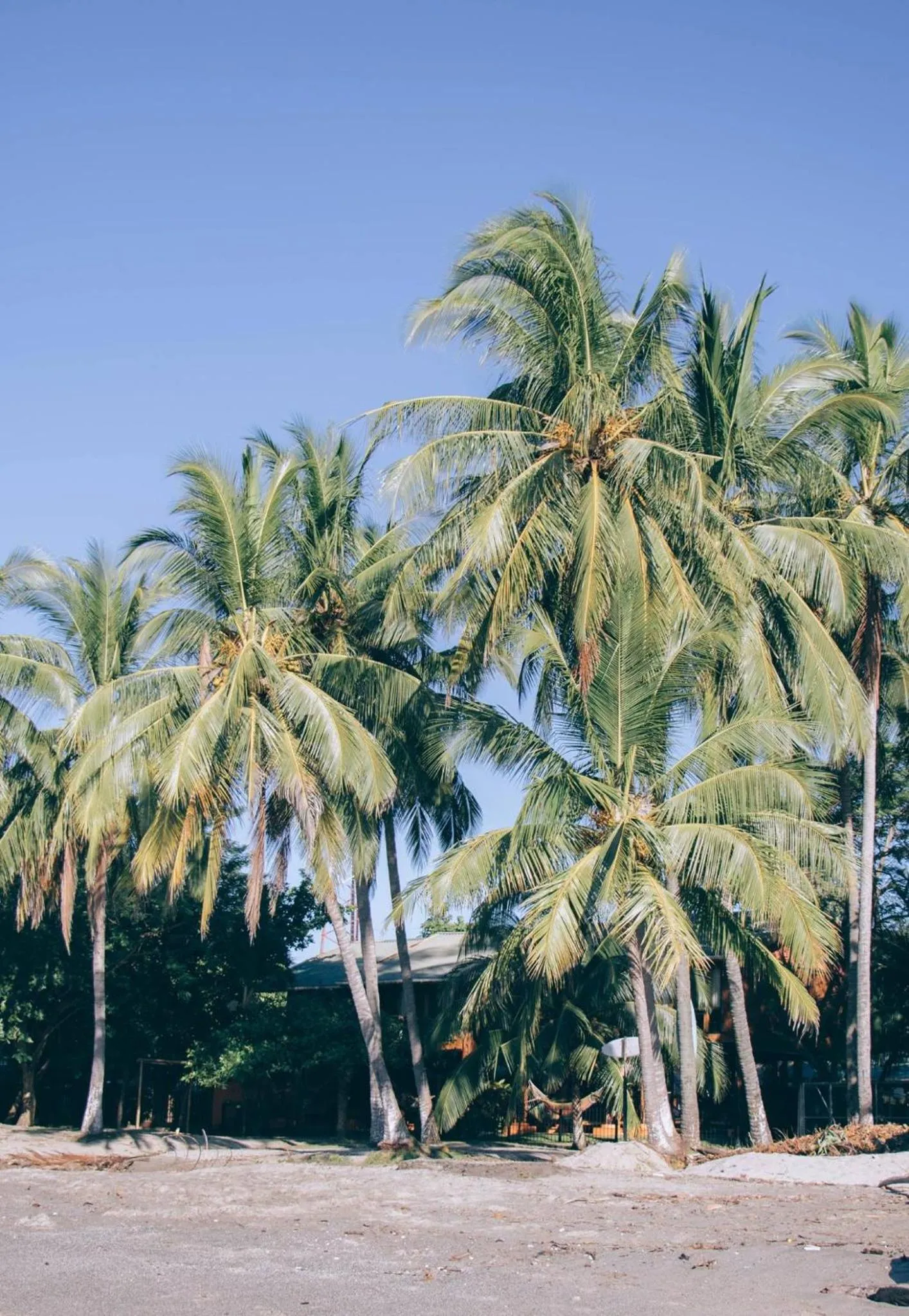 Beach in Samara Beach Hotel