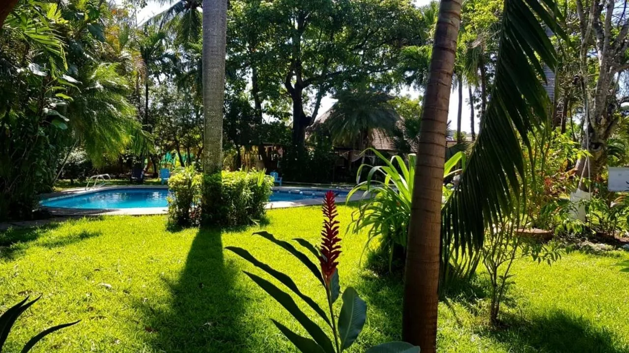 Day in Samara Beach Hotel