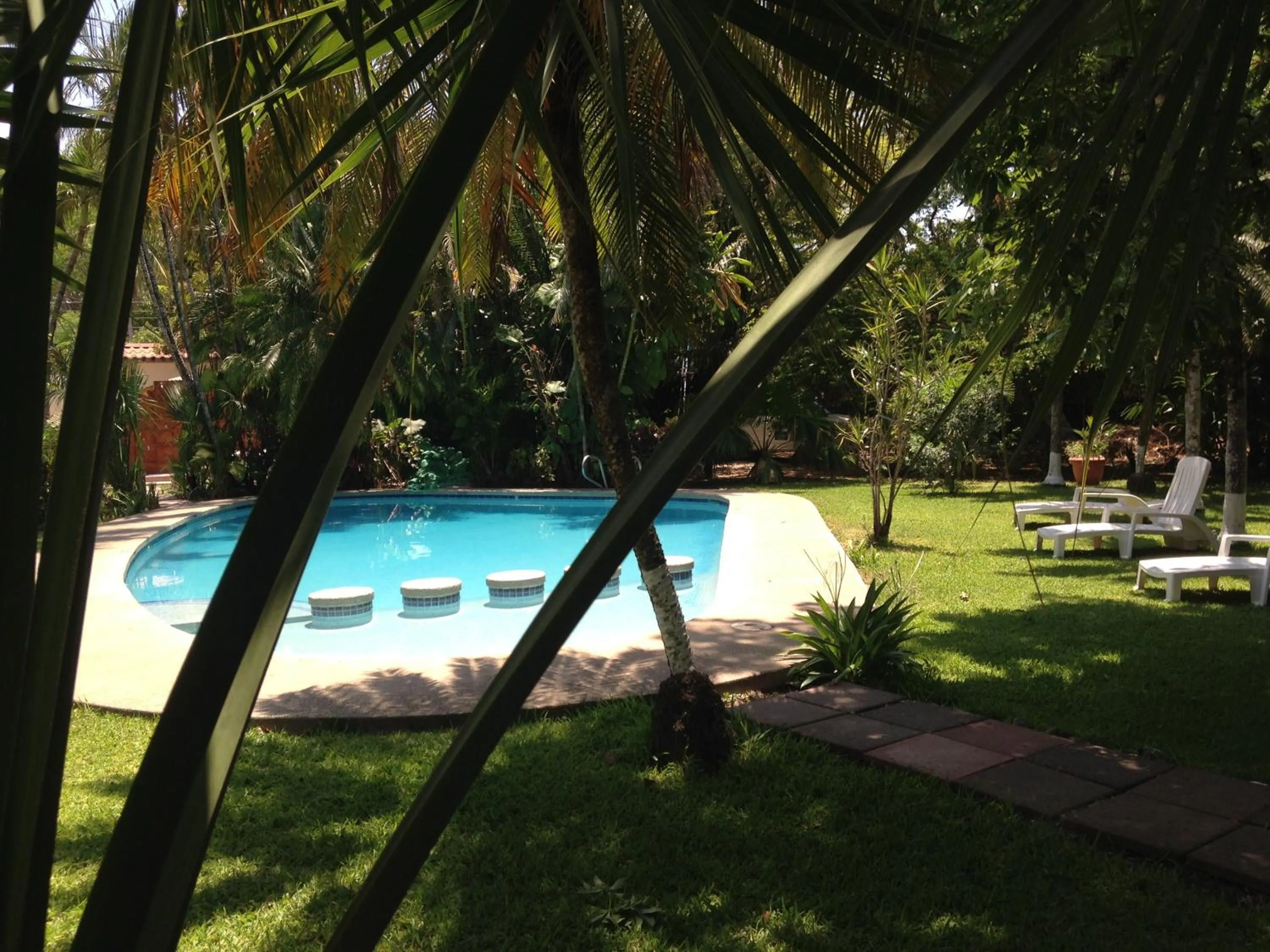Garden in Samara Beach Hotel